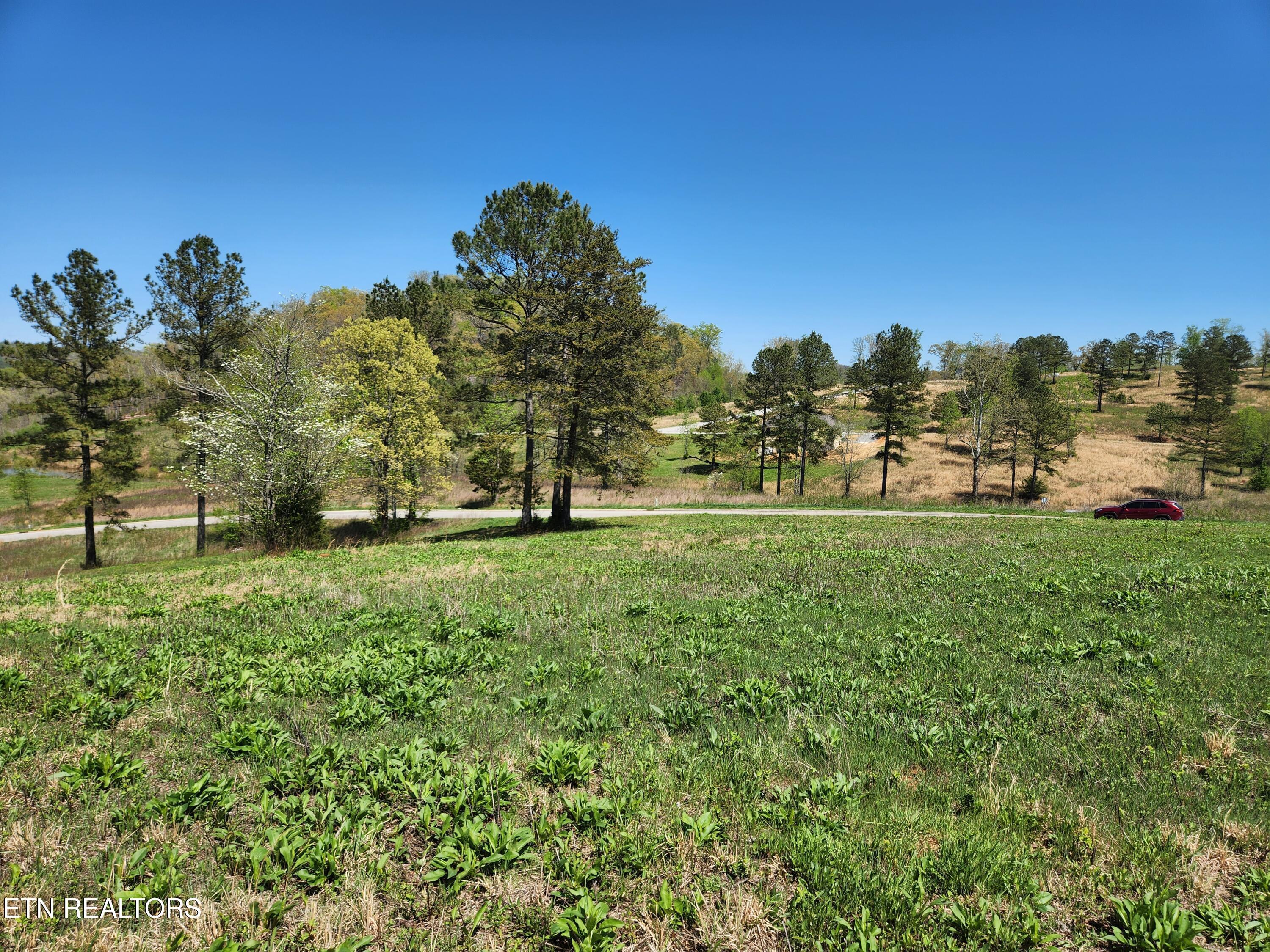 Lake Ferry Lot 251 Drive, Loudon, TN - Fort Loudoun and Tellico Lake Real Estate - Image# 5