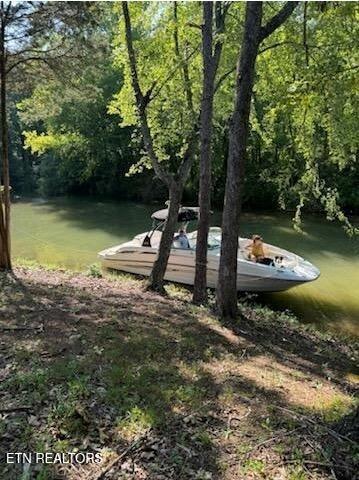 Fort Loudoun and Tellico Lake Real Estate - Image# 64