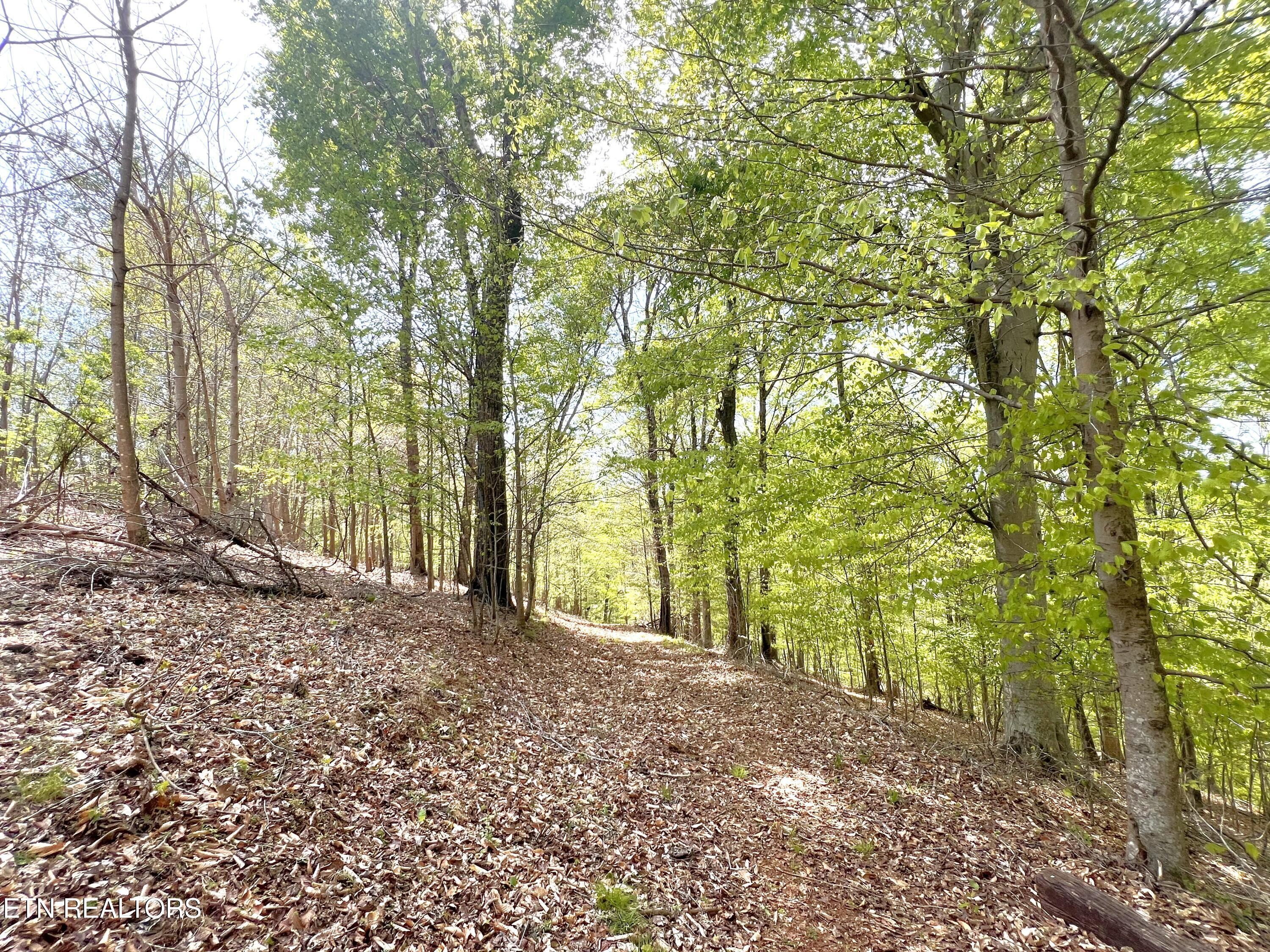 5340 Hickory Hollow Rd Rd, Knoxville, TN - Fort Loudoun and Tellico Lake Real Estate - Image# 19