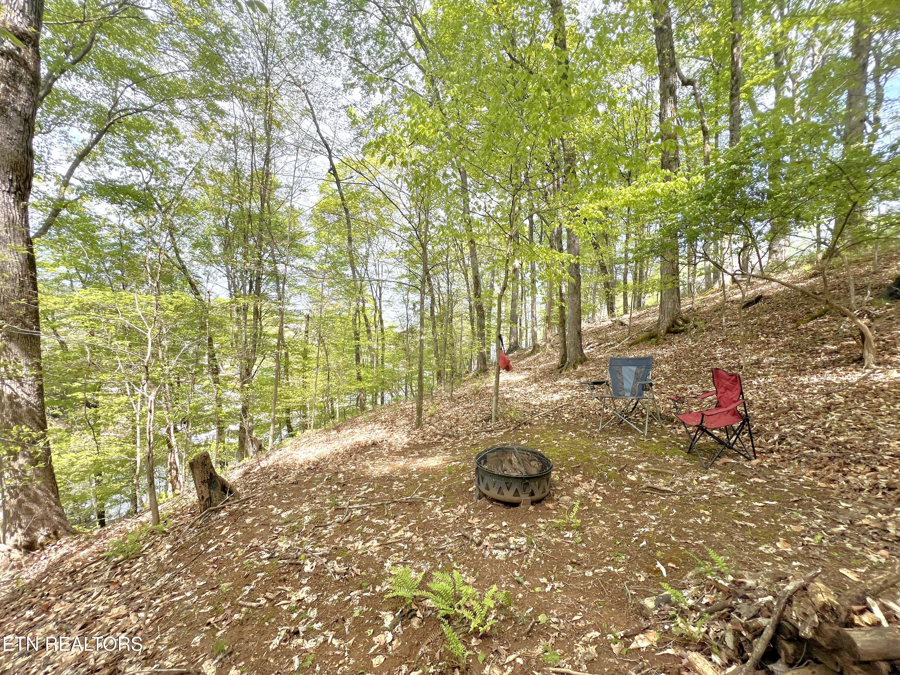 5340 Hickory Hollow Rd Rd, Knoxville, TN - Fort Loudoun and Tellico Lake Real Estate - Image# 20