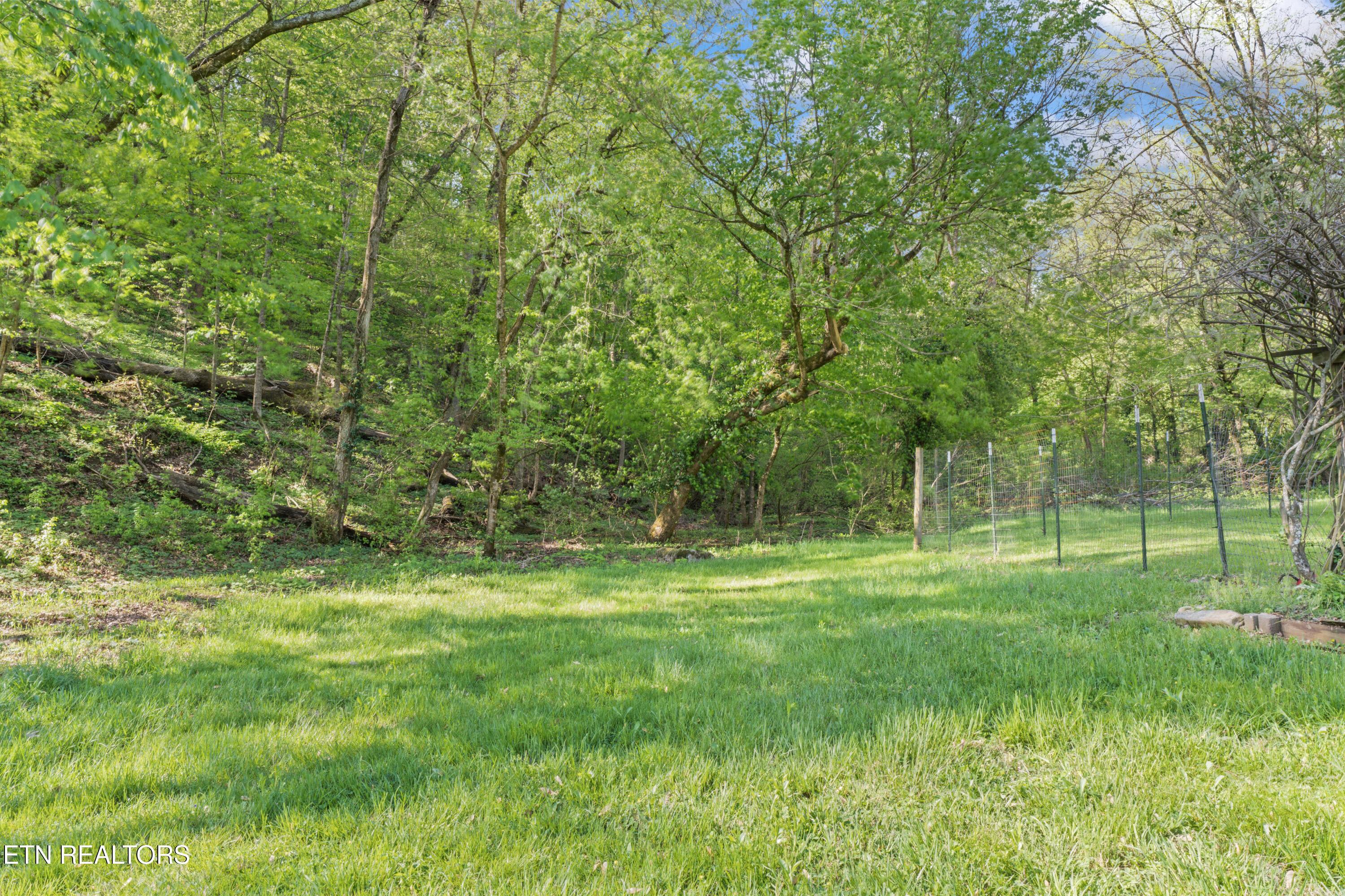 Fort Loudoun and Tellico Lake Real Estate - Image# 16