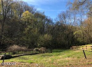 Fort Loudoun and Tellico Lake Real Estate - Image# 21
