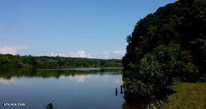 Fort Loudoun and Tellico Lake Real Estate - Image# 4