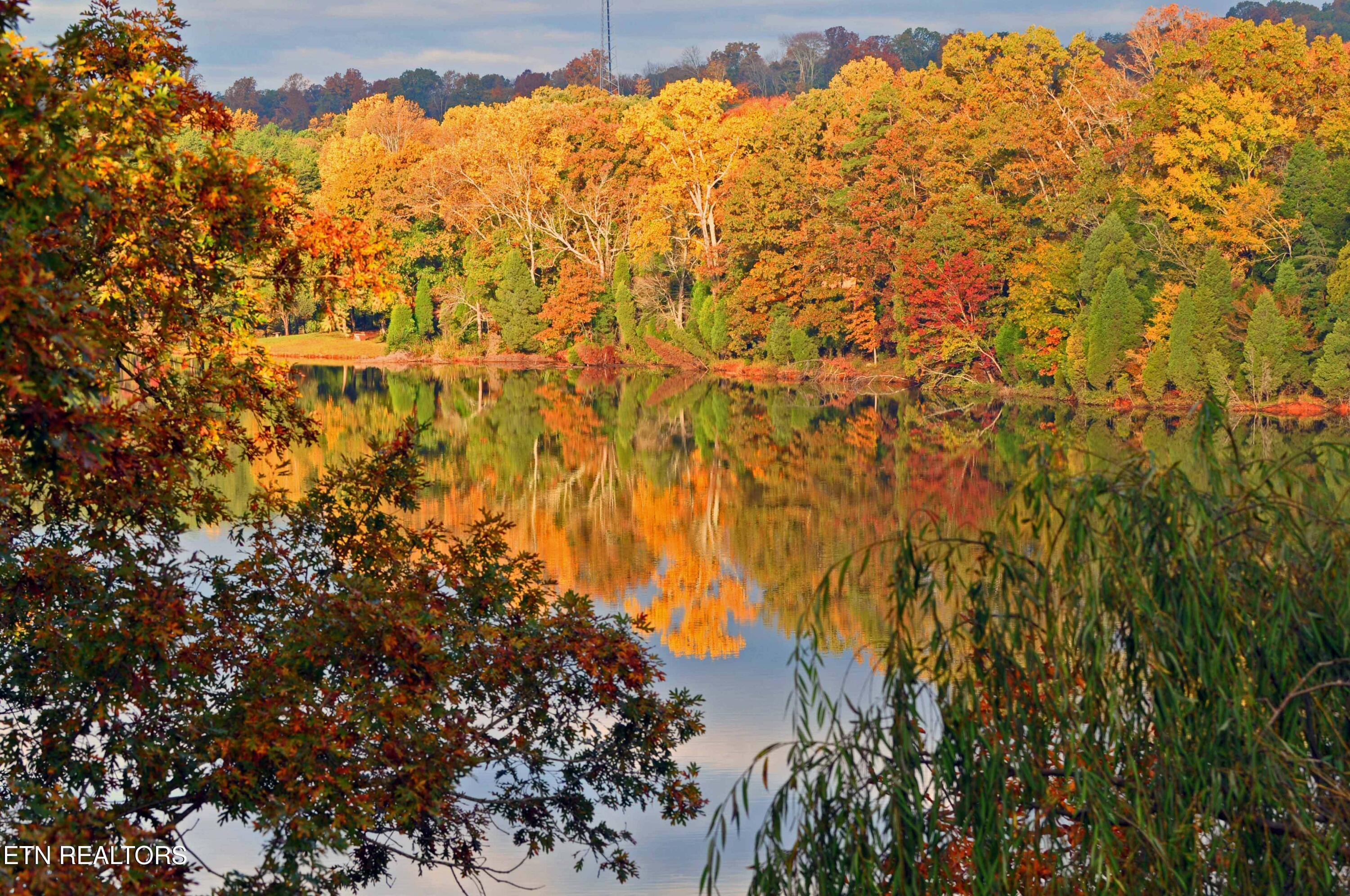 440 Marsh Hawk L 530 Drive, Vonore, TN - Fort Loudoun and Tellico Lake Real Estate - Image# 21