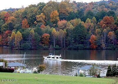 440 Marsh Hawk L 530 Drive, Vonore, TN - Fort Loudoun and Tellico Lake Real Estate - Image# 23