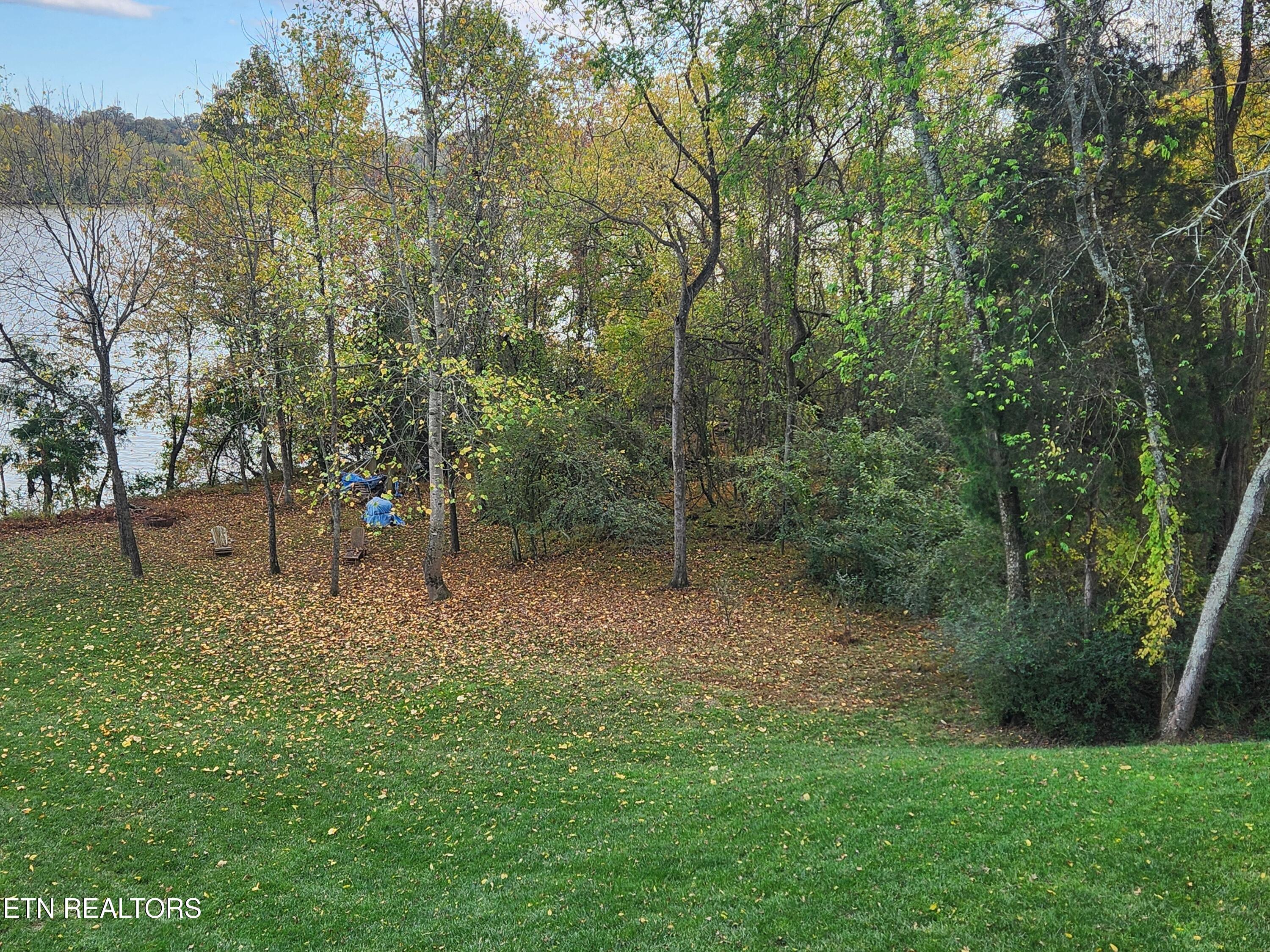 150 Merlot Court, Loudon, TN - Fort Loudoun and Tellico Lake Real Estate - Image# 3