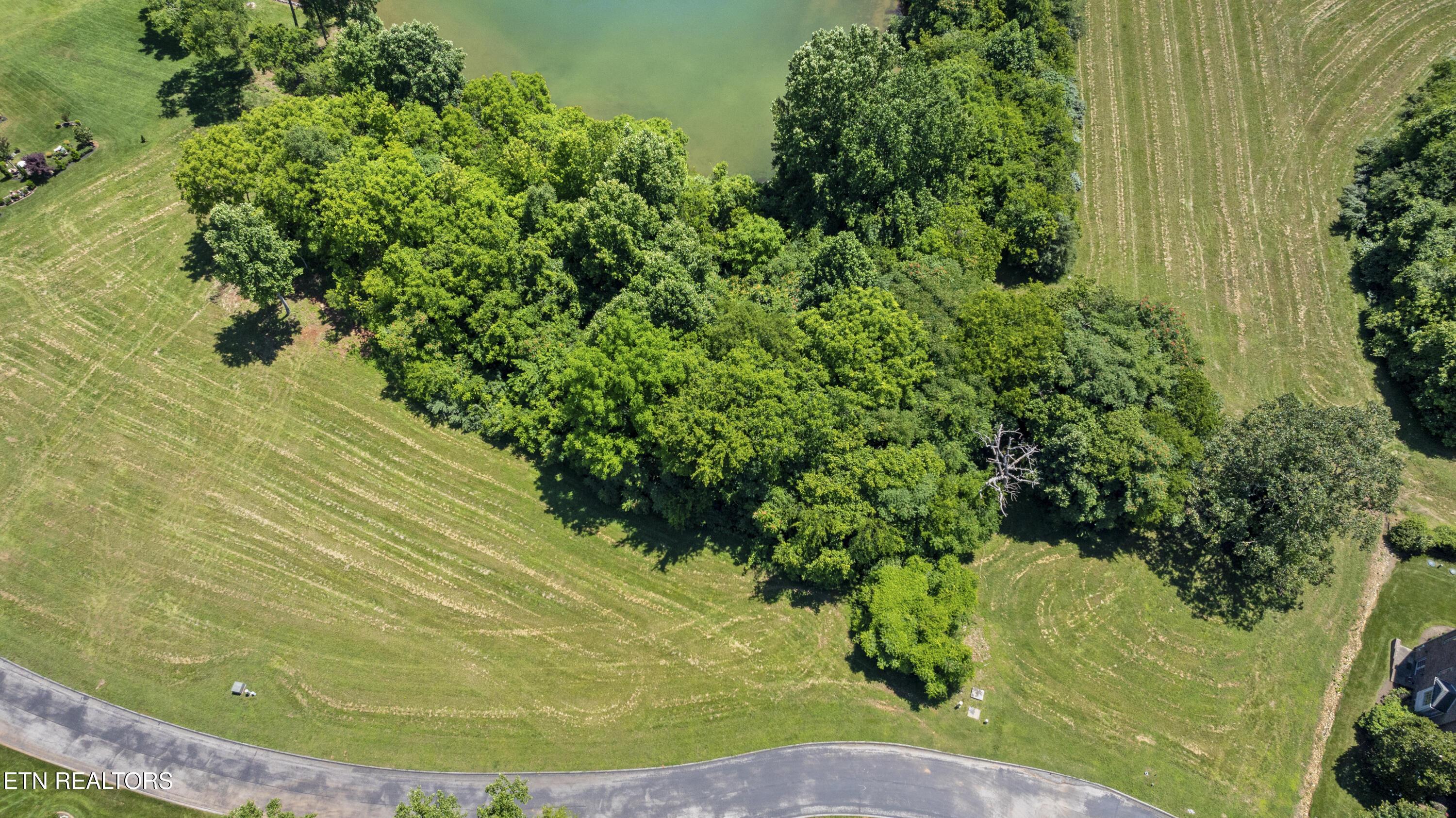 370 Cormorant Drive, Vonore, TN - Fort Loudoun and Tellico Lake Real Estate - Image# 1