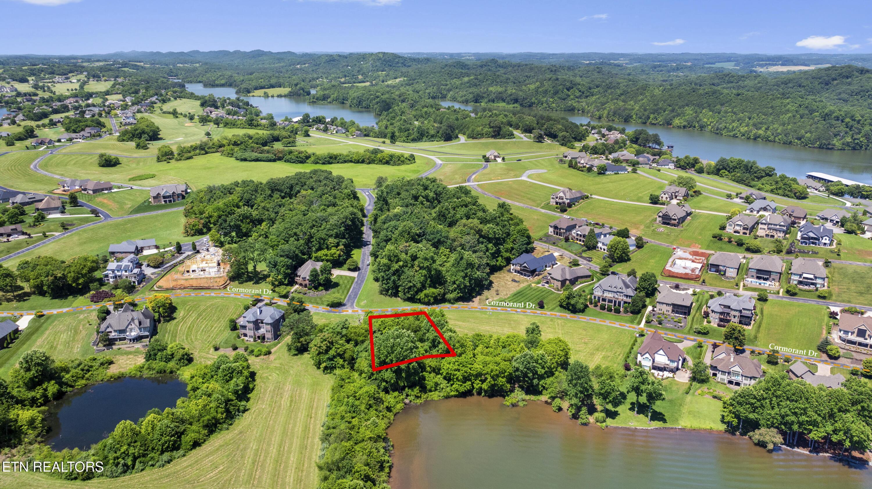 370 Cormorant Drive, Vonore, TN - Fort Loudoun and Tellico Lake Real Estate - Image# 5