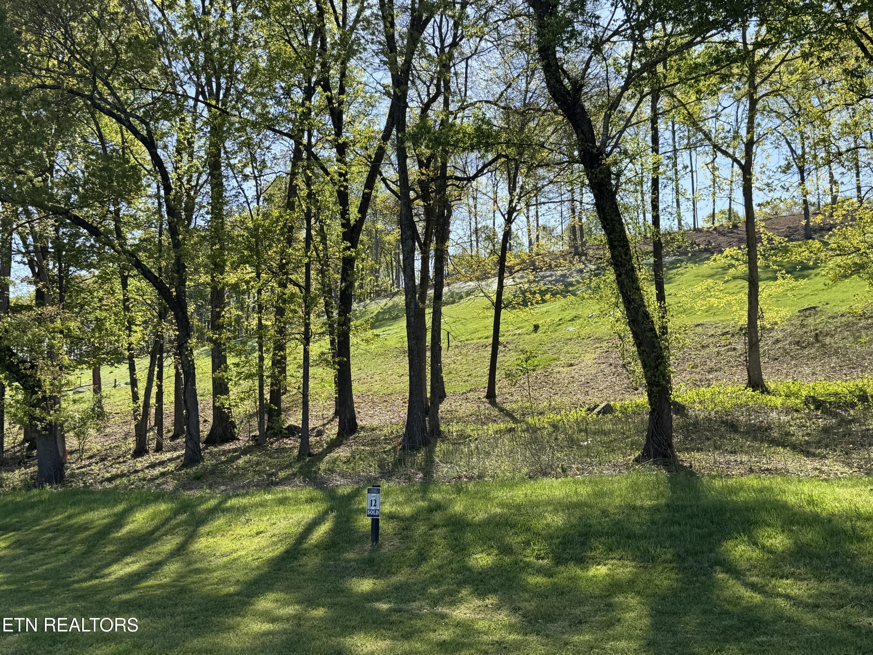 Fort Loudoun and Tellico Lake Real Estate - Image# 1
