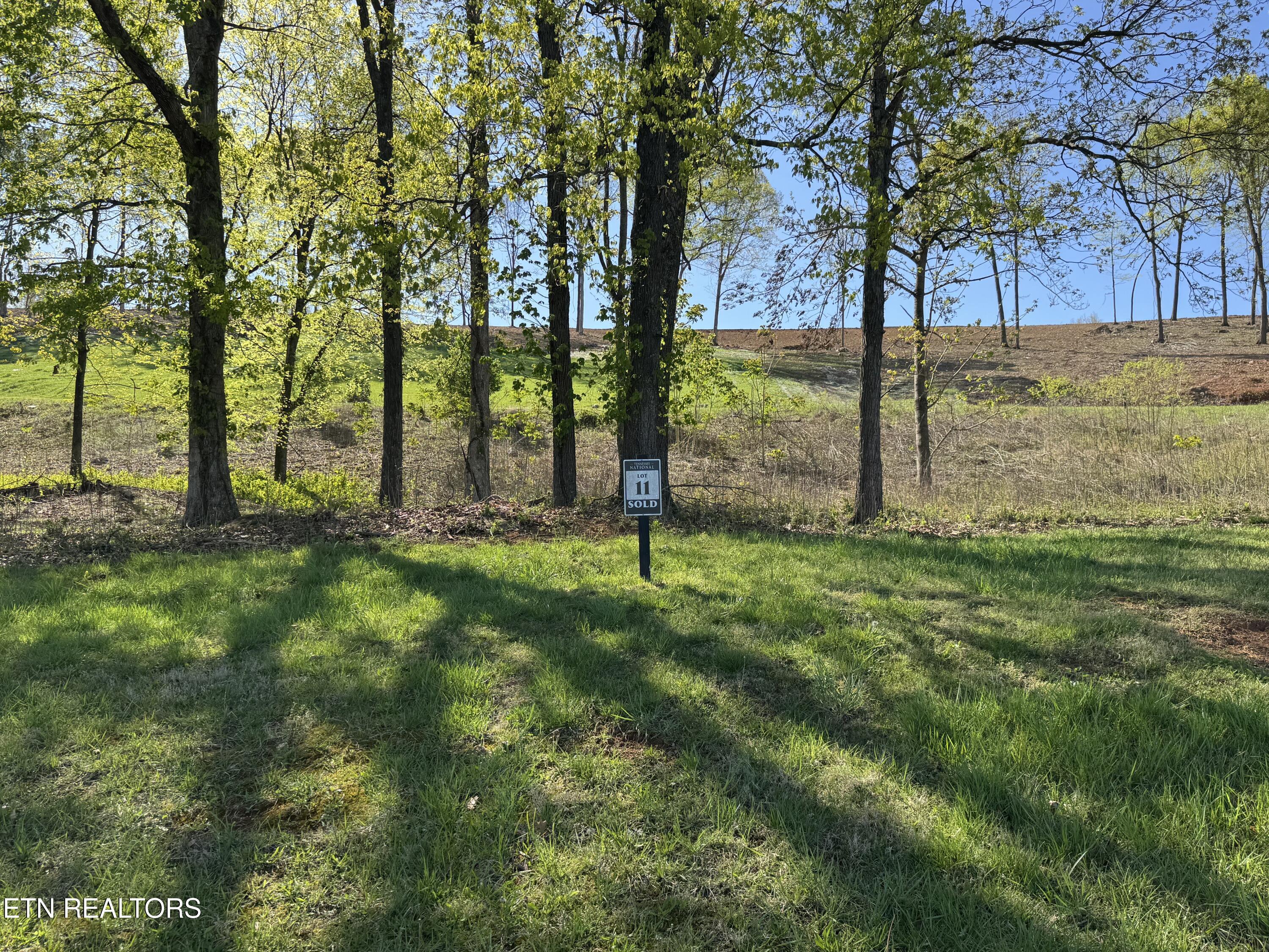 Fort Loudoun and Tellico Lake Real Estate - Image# 2