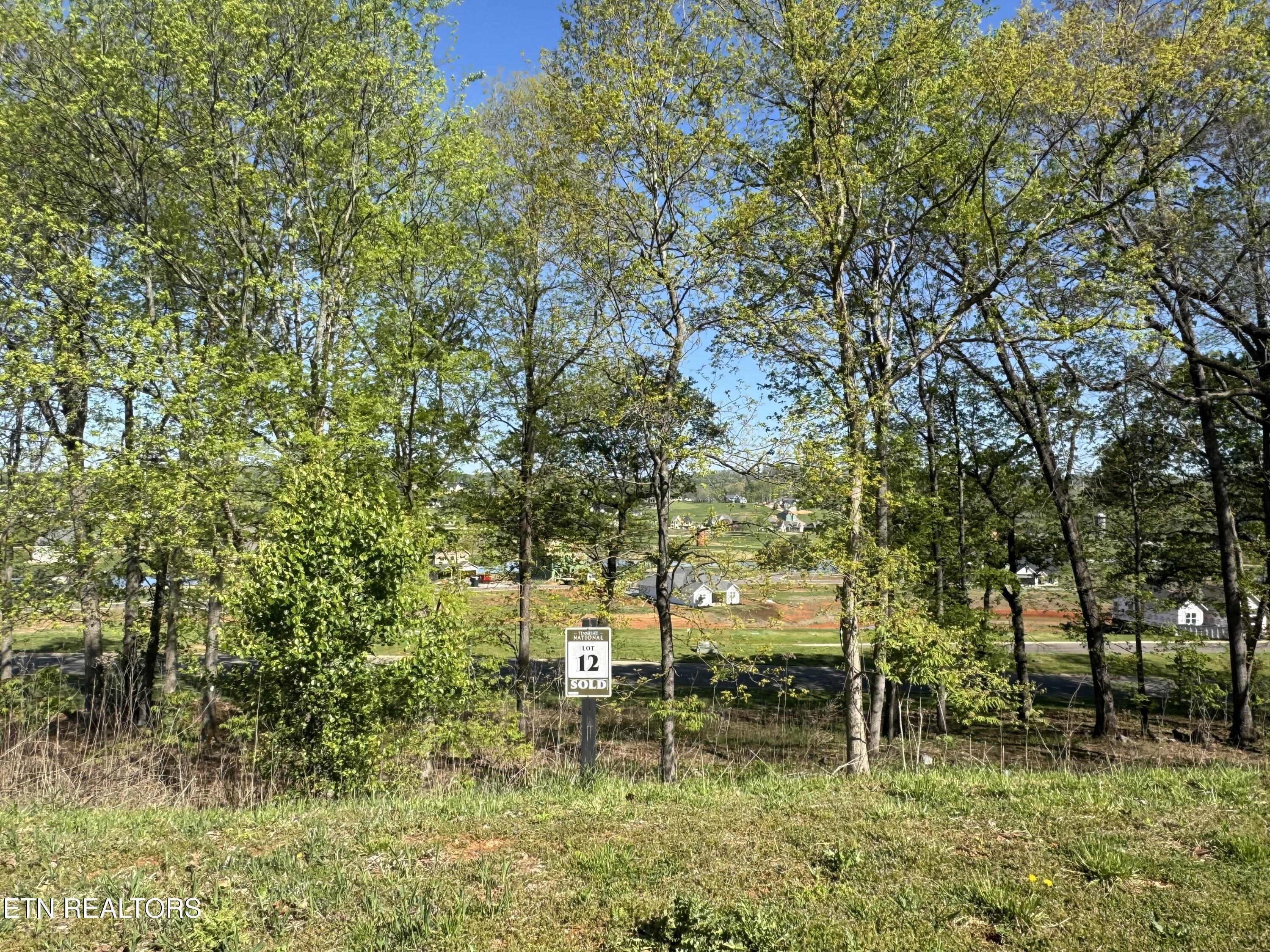 Fort Loudoun and Tellico Lake Real Estate - Image# 6