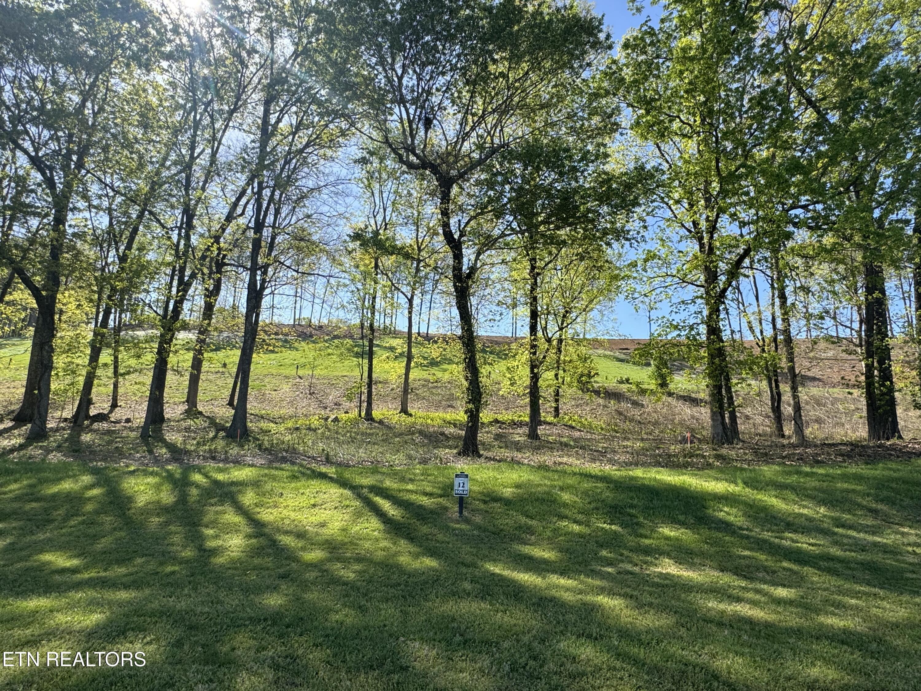 Fort Loudoun and Tellico Lake Real Estate - Image# 7