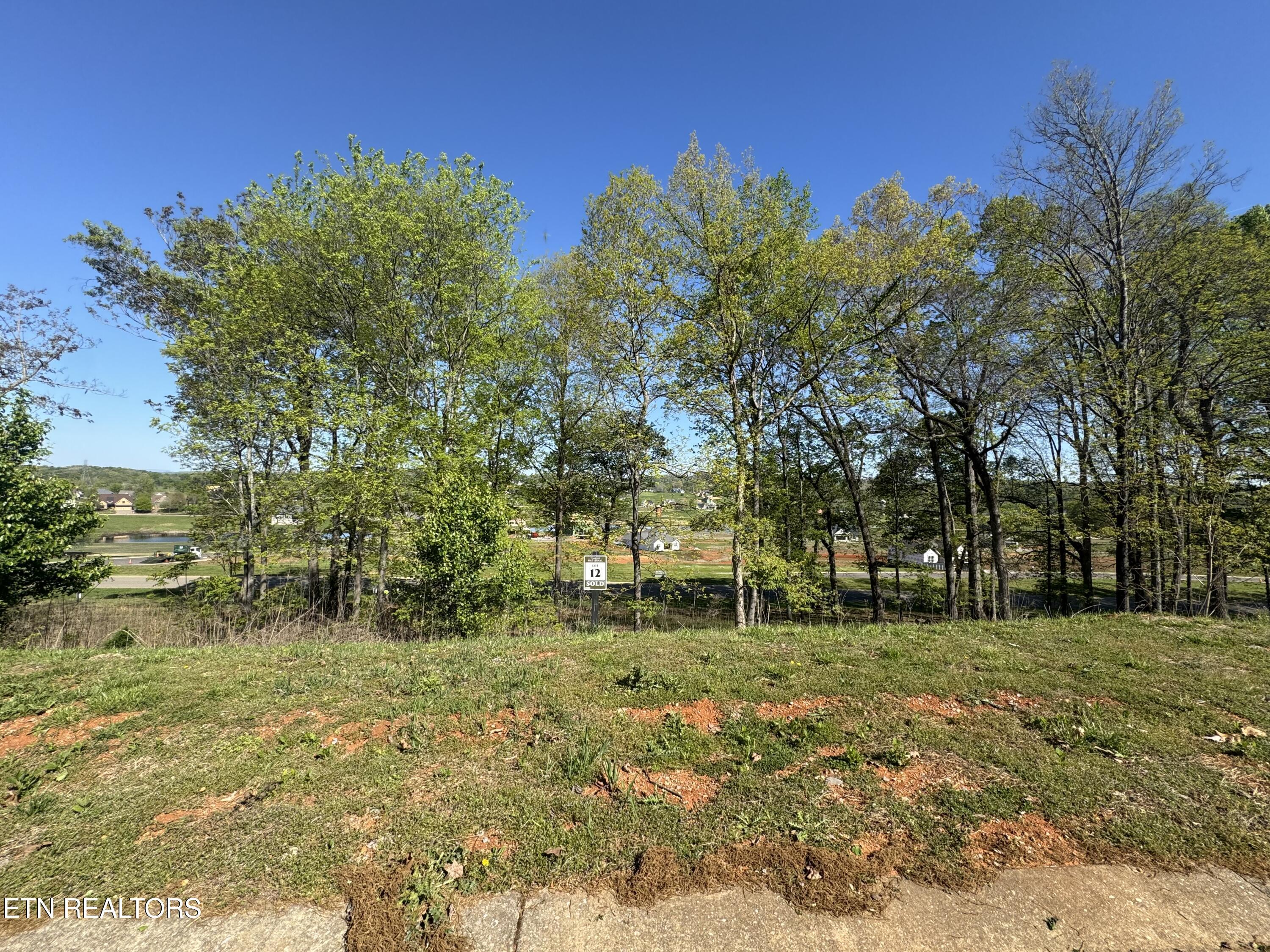 Fort Loudoun and Tellico Lake Real Estate - Image# 8