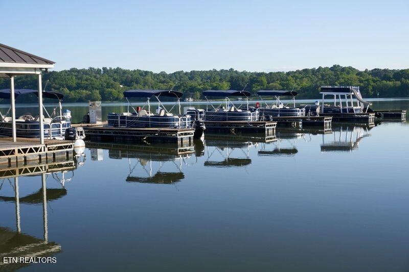 Fort Loudoun and Tellico Lake Real Estate - Image# 9