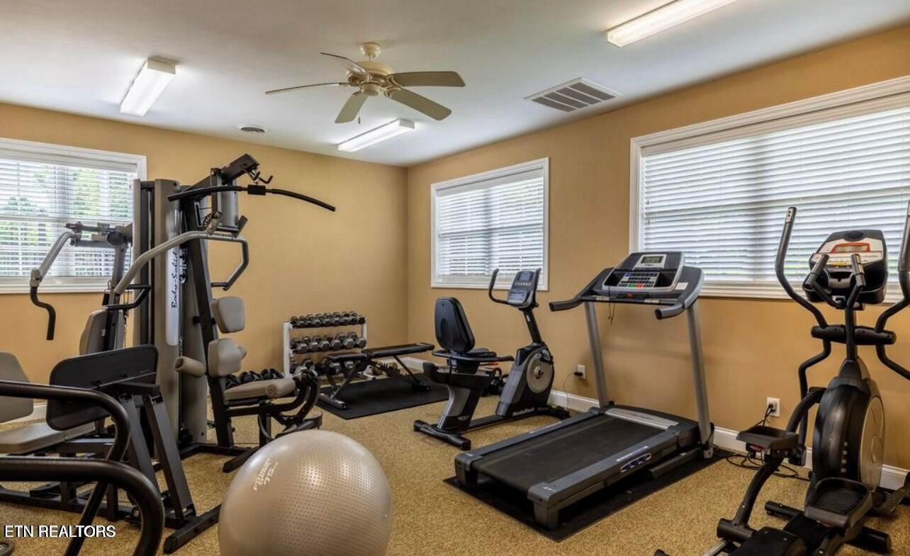 Fort Loudoun and Tellico Lake Real Estate - Image# 50