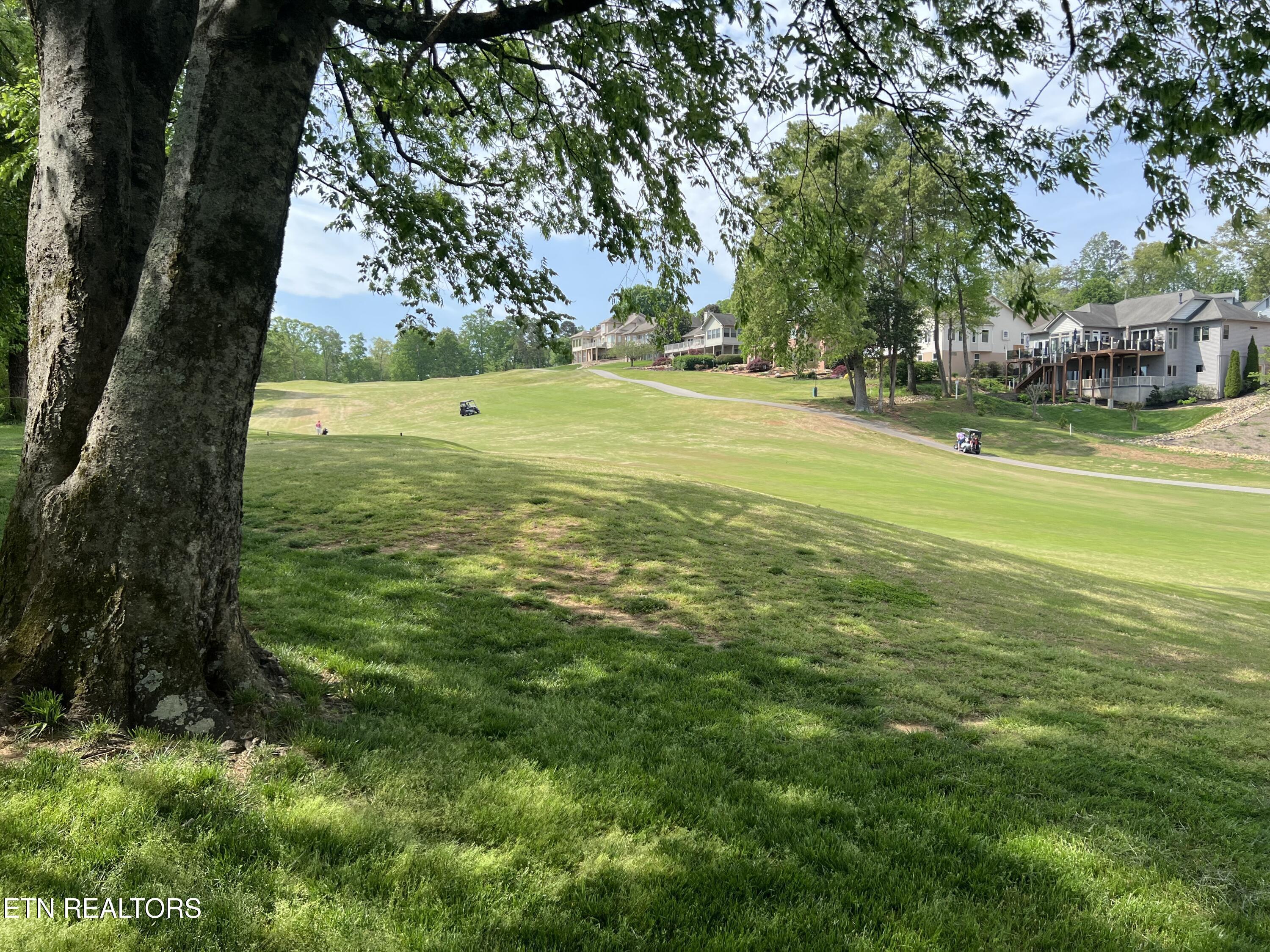 Fort Loudoun and Tellico Lake Real Estate - Image# 4