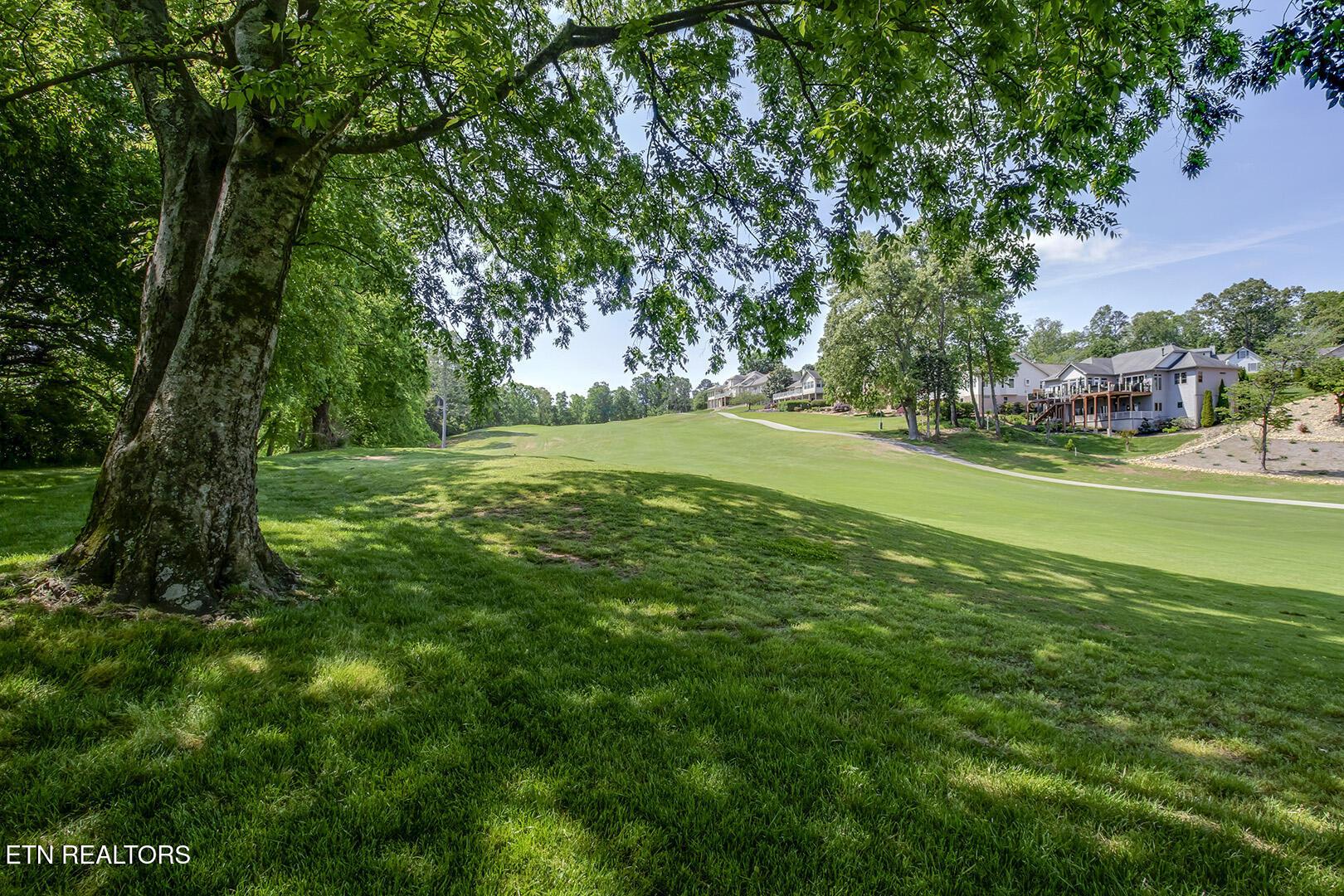 Fort Loudoun and Tellico Lake Real Estate - Image# 58