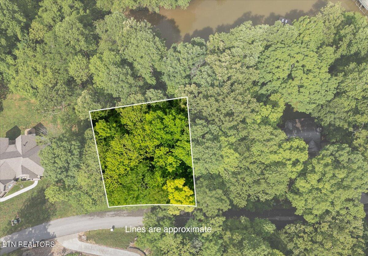 1508 Sequoia Drive, Maryville, TN - Fort Loudoun and Tellico Lake Real Estate - Image# 3