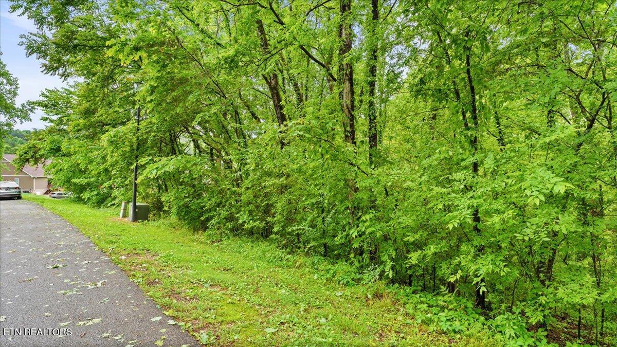 1508 Sequoia Drive, Maryville, TN - Fort Loudoun and Tellico Lake Real Estate - Image# 6