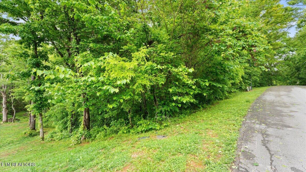 1508 Sequoia Drive, Maryville, TN - Fort Loudoun and Tellico Lake Real Estate - Image# 7
