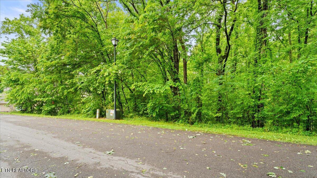 1508 Sequoia Drive, Maryville, TN - Fort Loudoun and Tellico Lake Real Estate - Image# 8