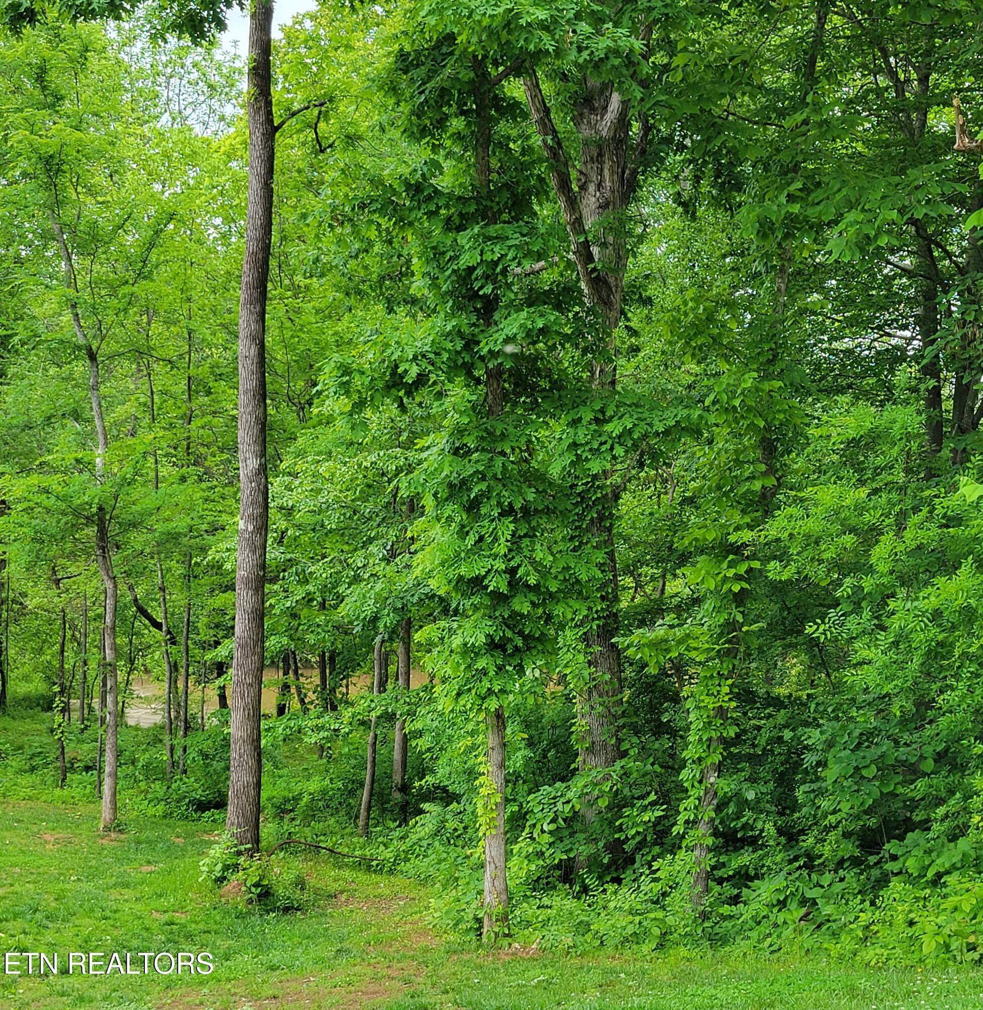1508 Sequoia Drive, Maryville, TN - Fort Loudoun and Tellico Lake Real Estate - Image# 9