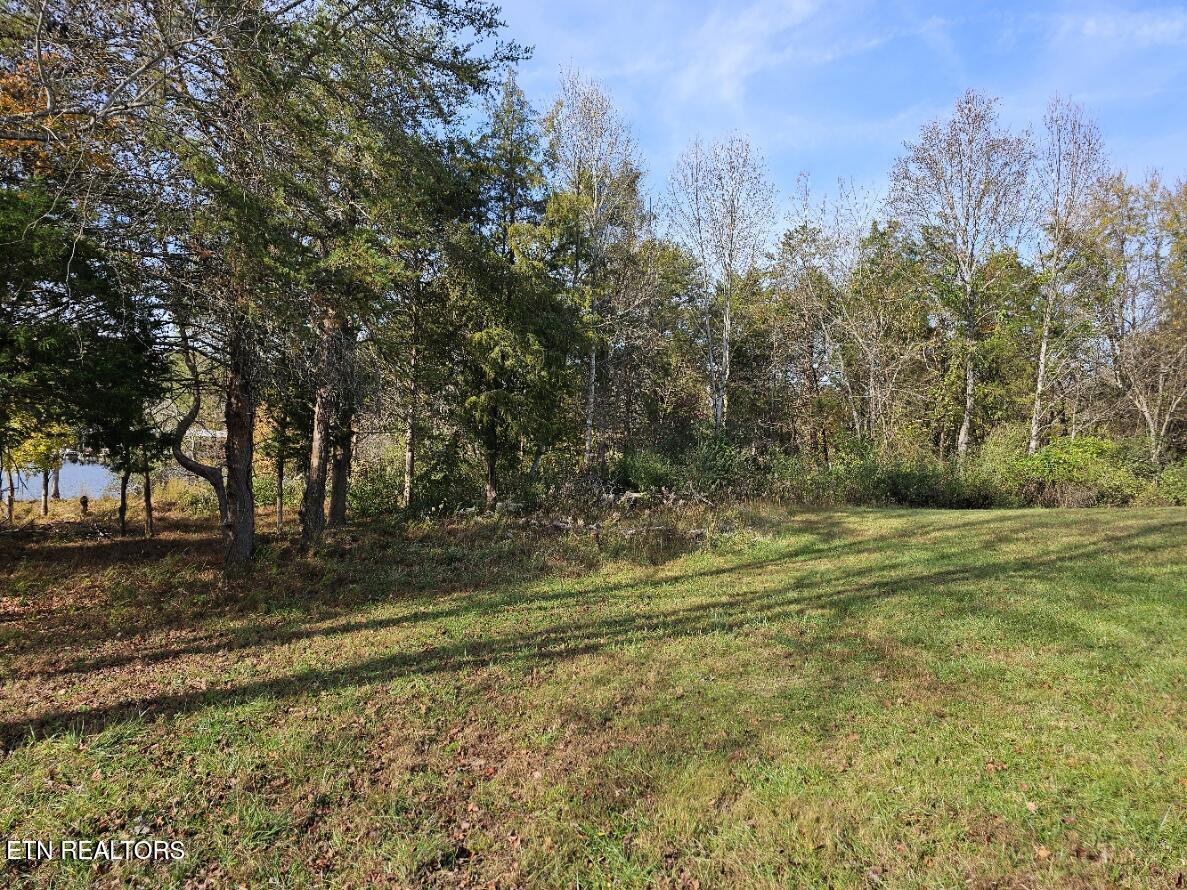 Fort Loudoun and Tellico Lake Real Estate - Image# 11