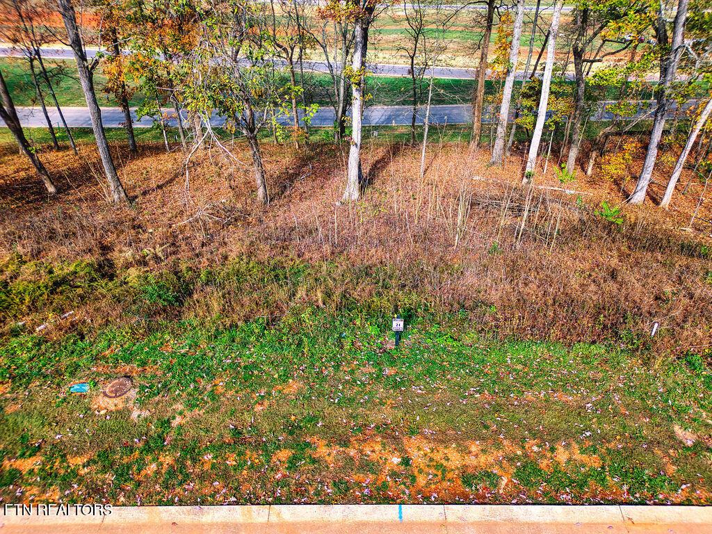 Fort Loudoun and Tellico Lake Real Estate - Image# 1