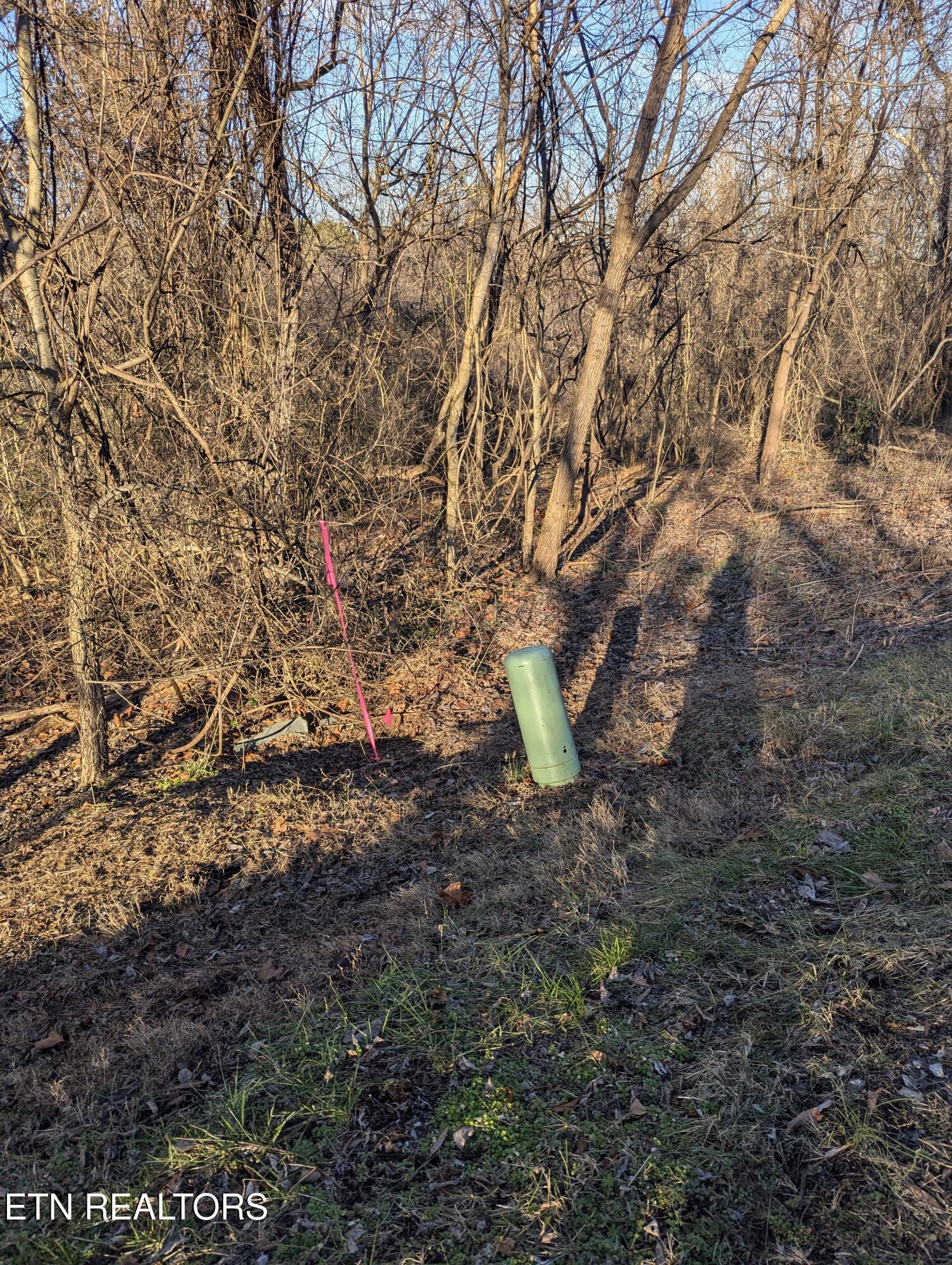 Fort Loudoun and Tellico Lake Real Estate - Image# 3