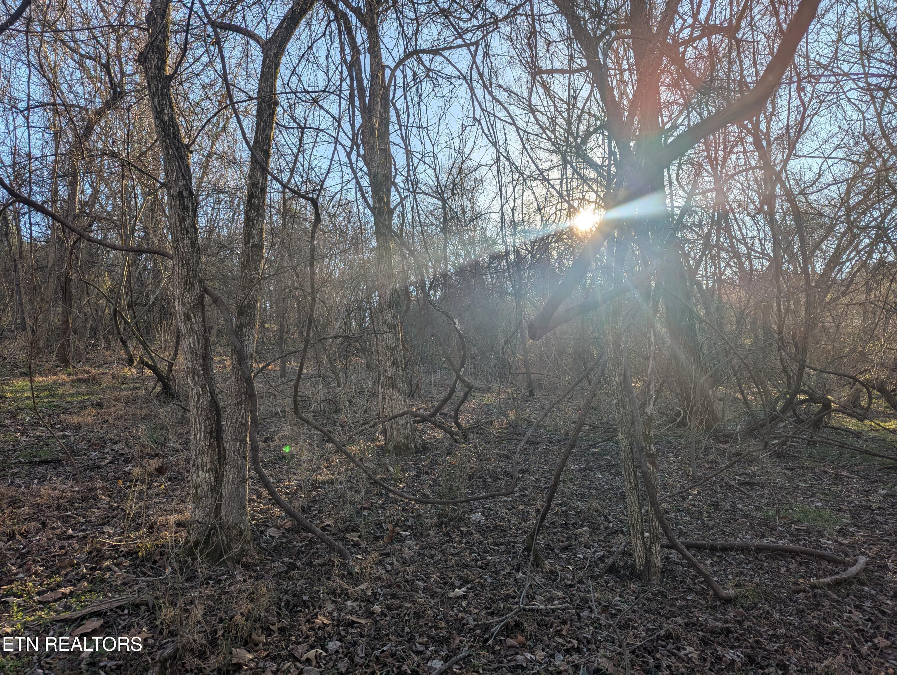 Fort Loudoun and Tellico Lake Real Estate - Image# 5