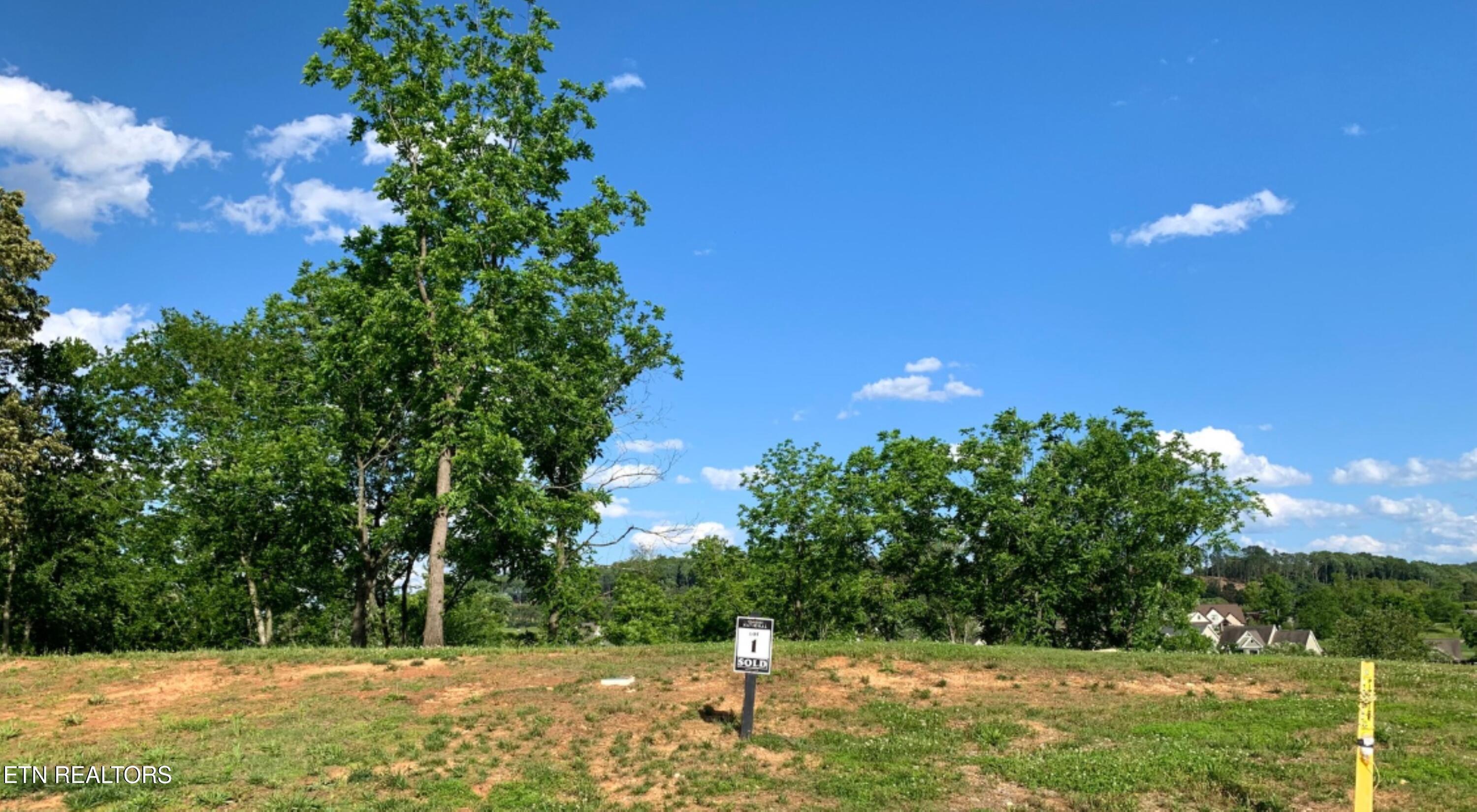 Fort Loudoun and Tellico Lake Real Estate - Image# 6
