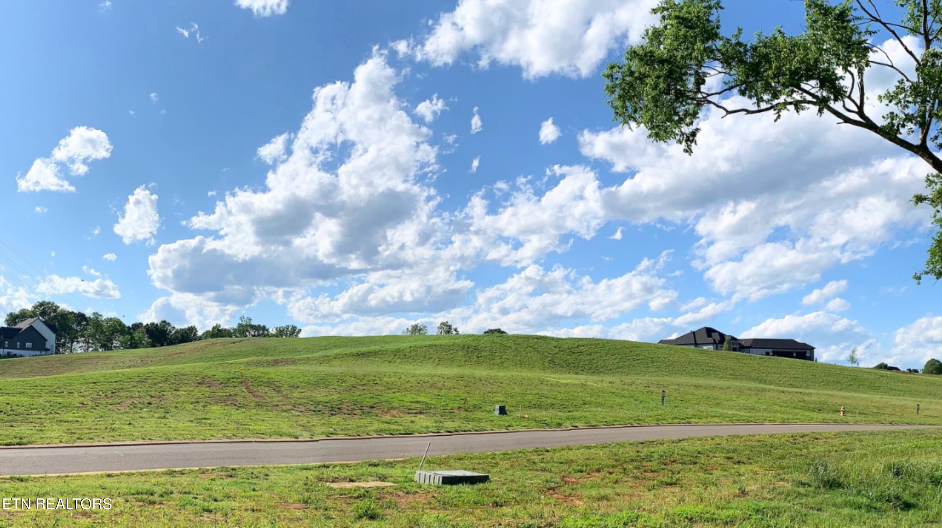 Fort Loudoun and Tellico Lake Real Estate - Image# 39