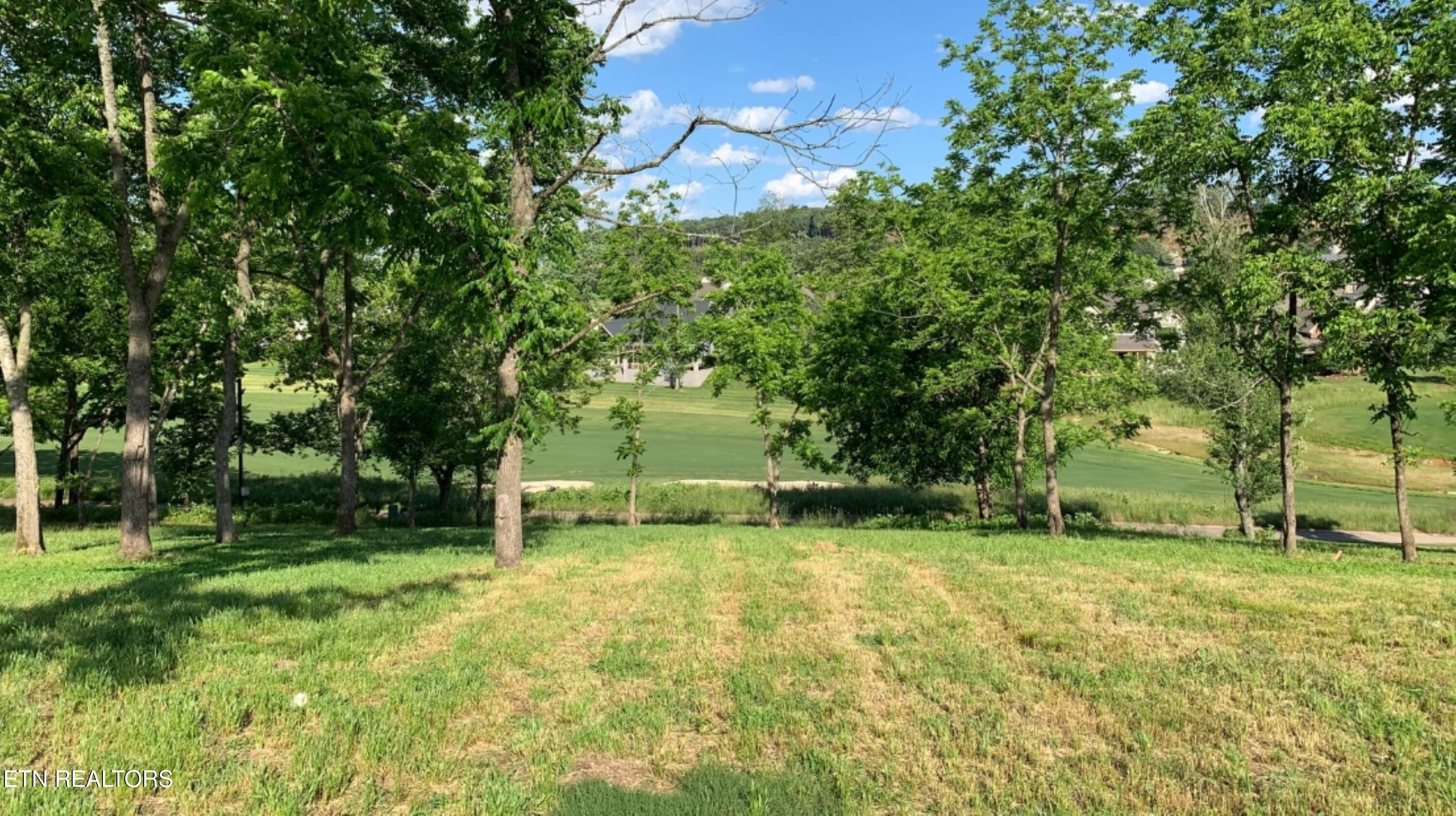 Fort Loudoun and Tellico Lake Real Estate - Image# 11