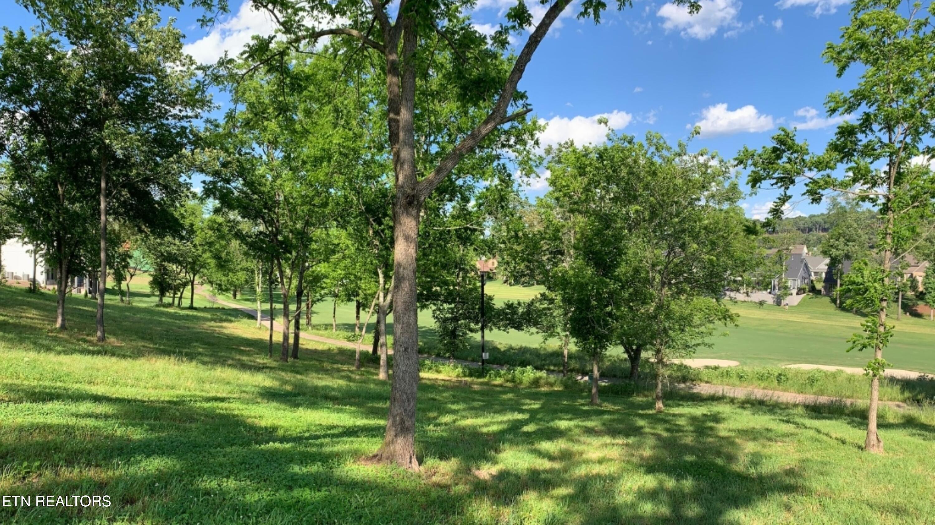 Fort Loudoun and Tellico Lake Real Estate - Image# 14