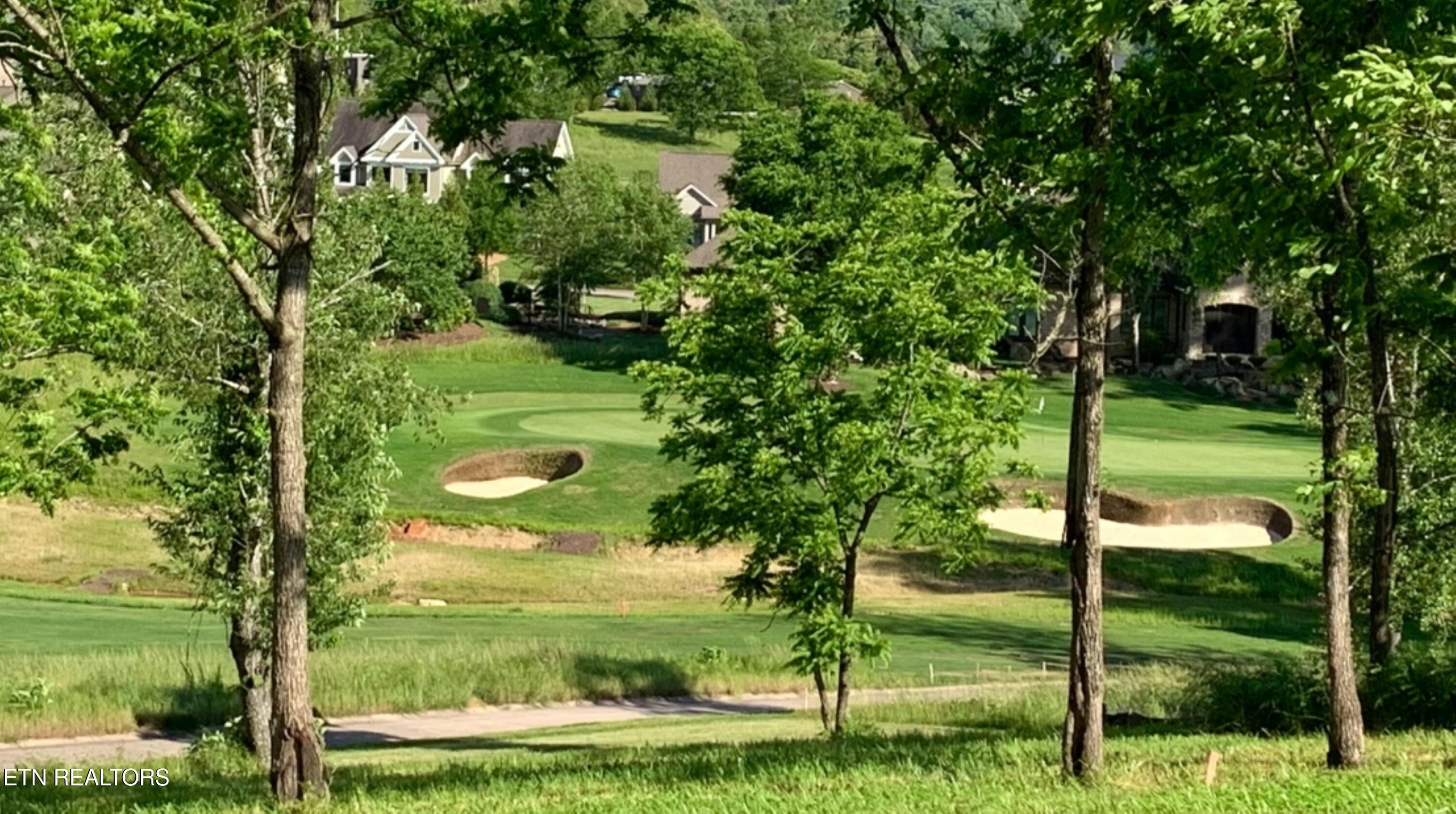 Fort Loudoun and Tellico Lake Real Estate - Image# 34