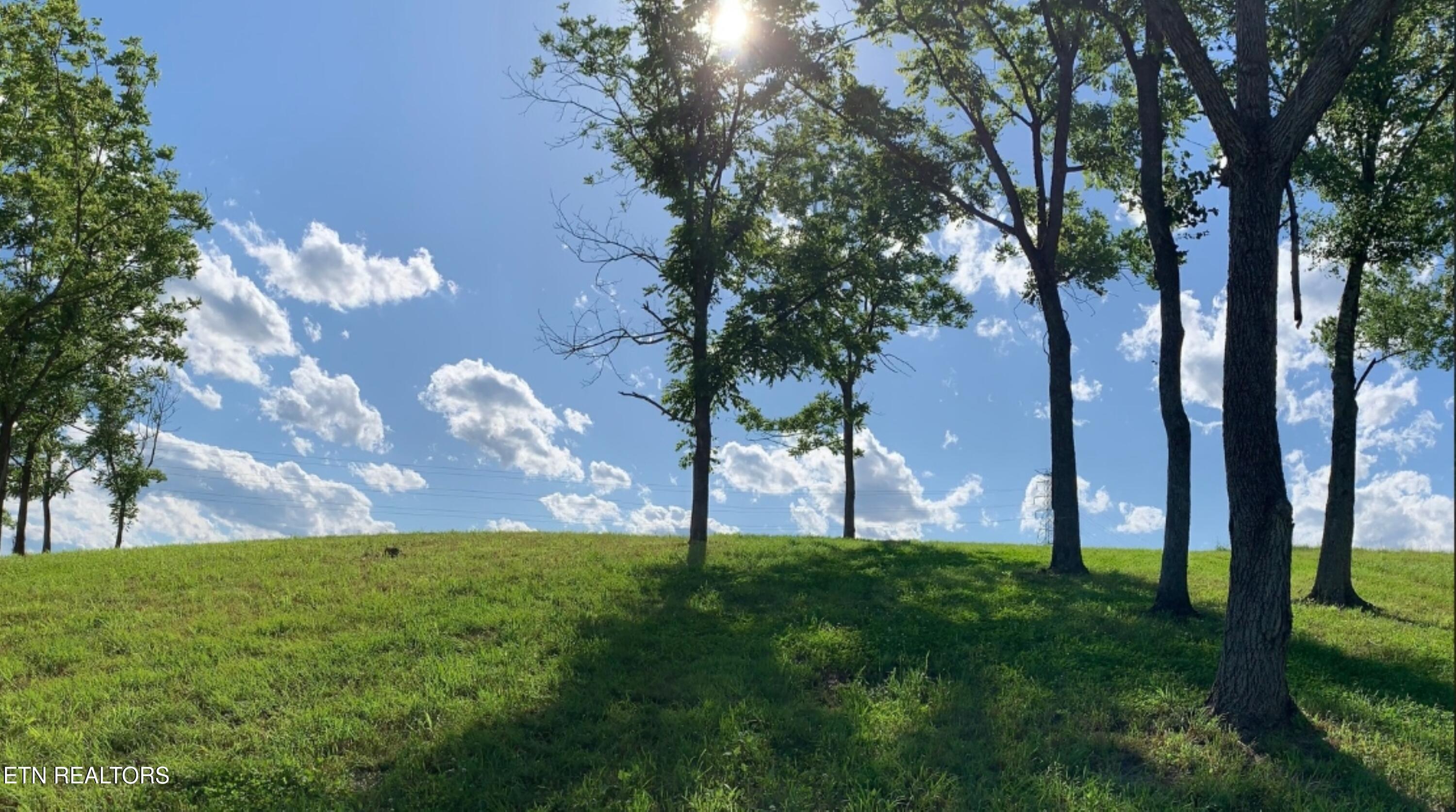 Fort Loudoun and Tellico Lake Real Estate - Image# 28