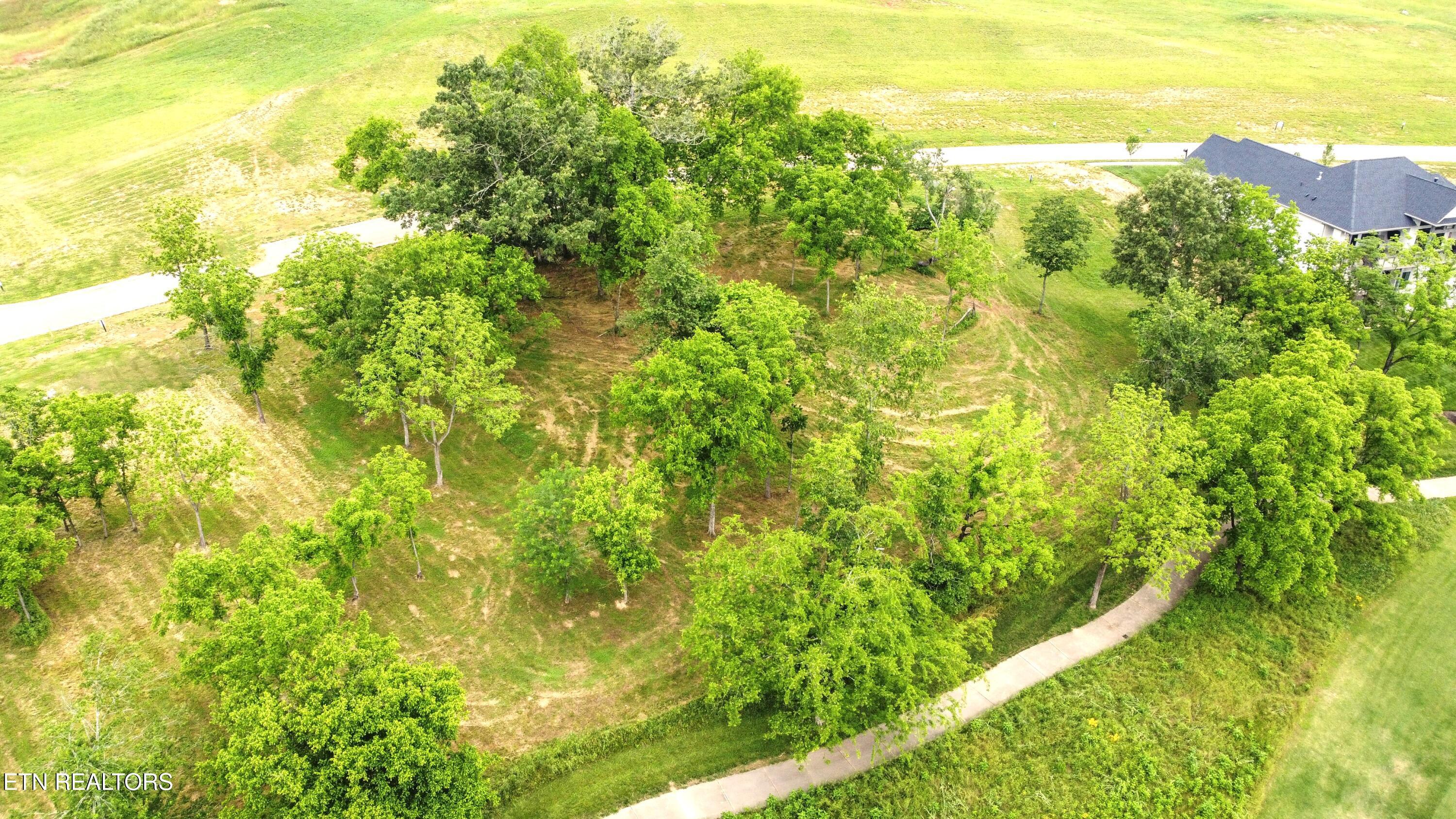Fort Loudoun and Tellico Lake Real Estate - Image# 25