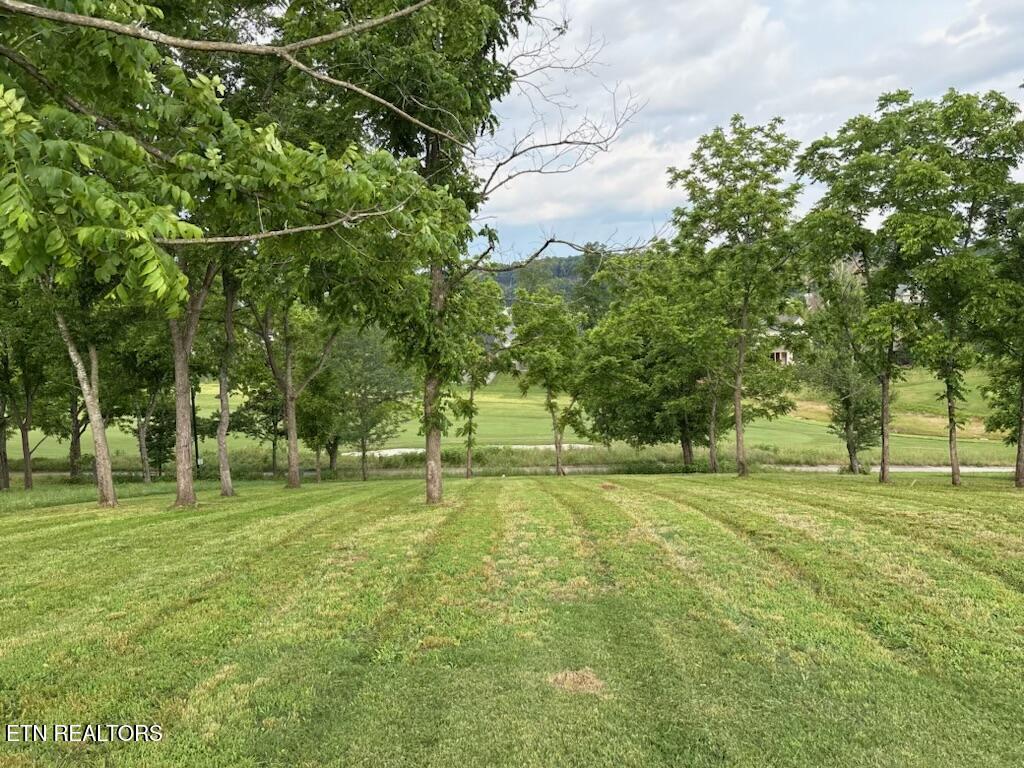 903 Mockingbird Lane, Loudon, TN - Fort Loudoun and Tellico Lake Real Estate - Image# 3