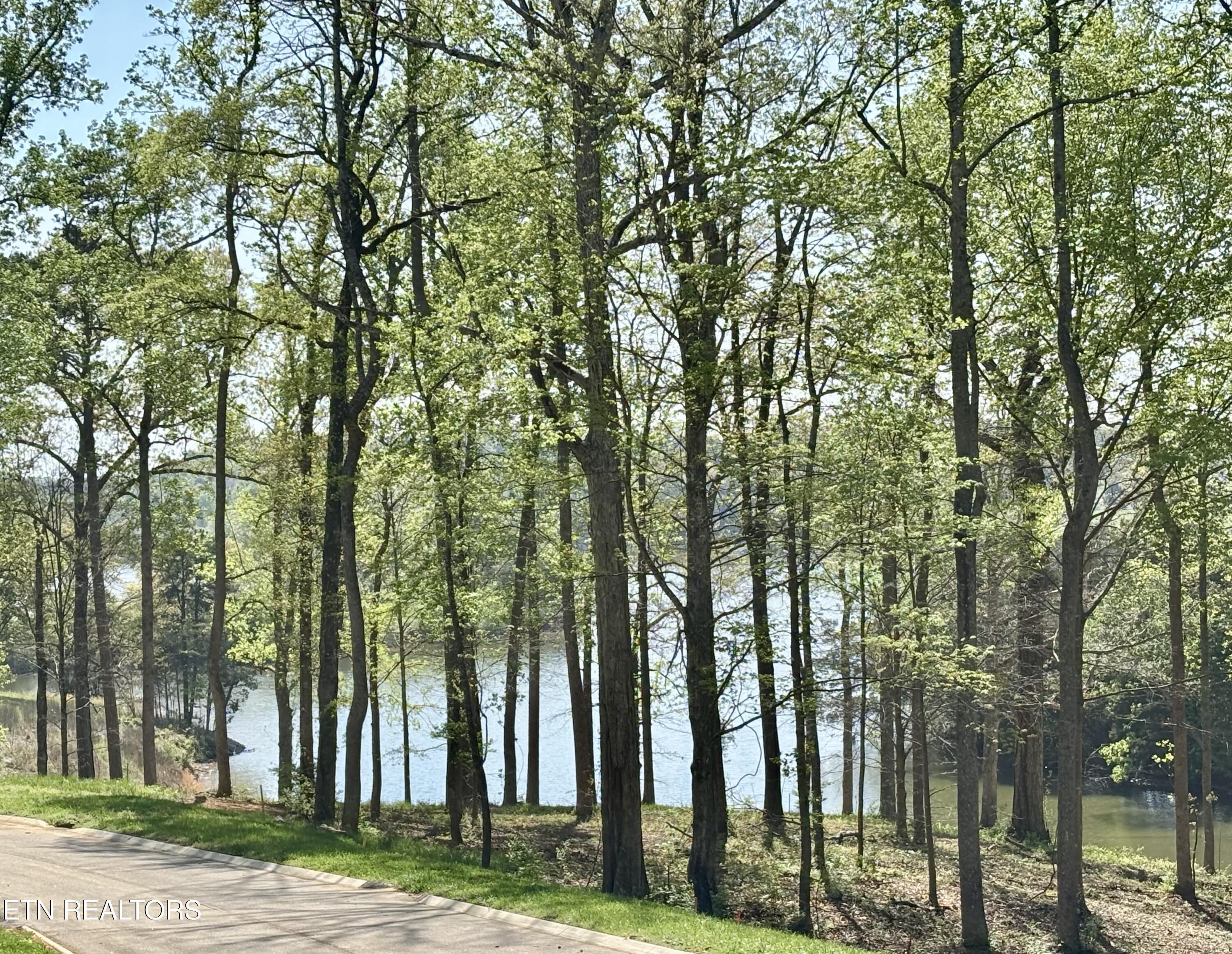 Fort Loudoun and Tellico Lake Real Estate - Image# 2