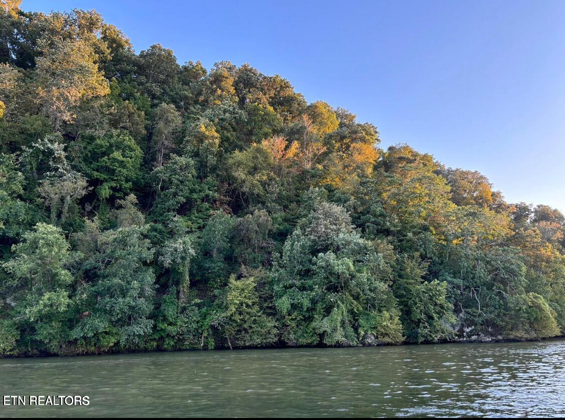 Fort Loudoun and Tellico Lake Real Estate - Image# 32