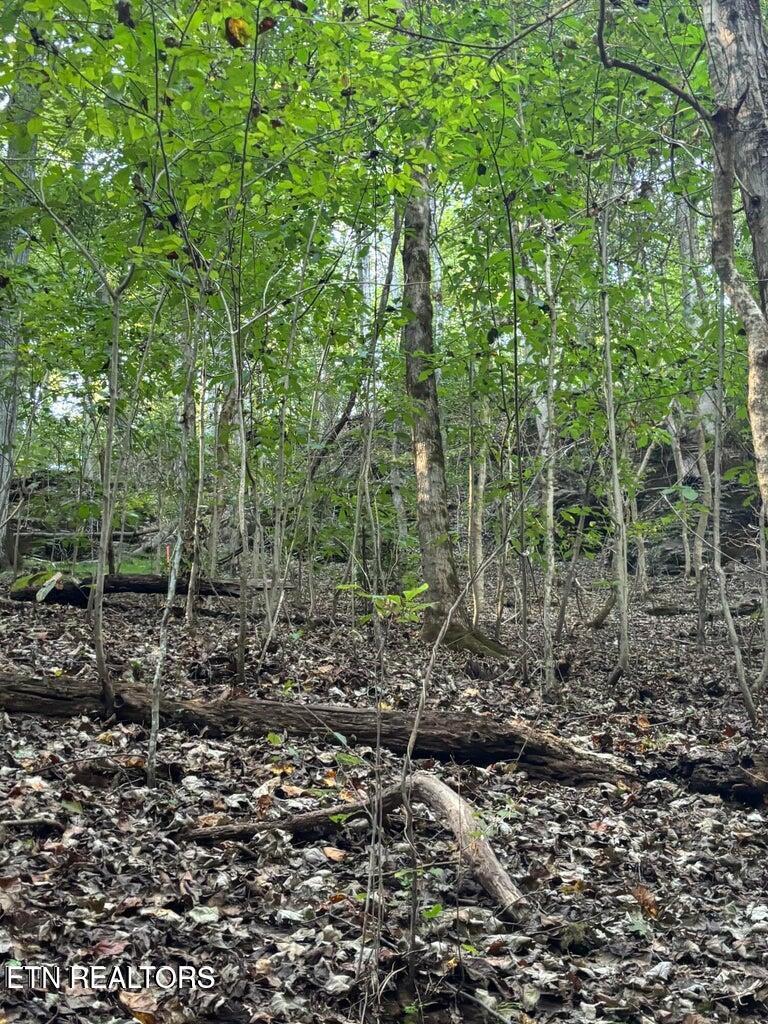 Fort Loudoun and Tellico Lake Real Estate - Image# 34