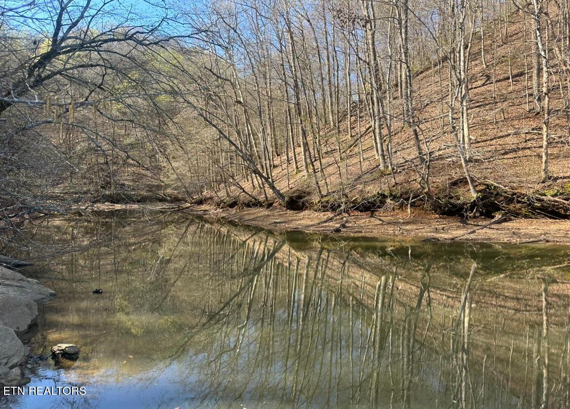 Fort Loudoun and Tellico Lake Real Estate - Image# 13