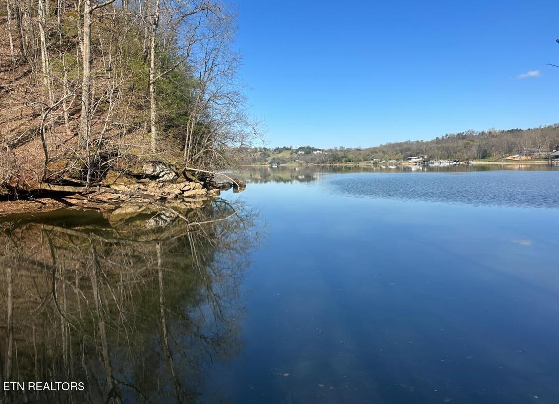Fort Loudoun and Tellico Lake Real Estate - Image# 14