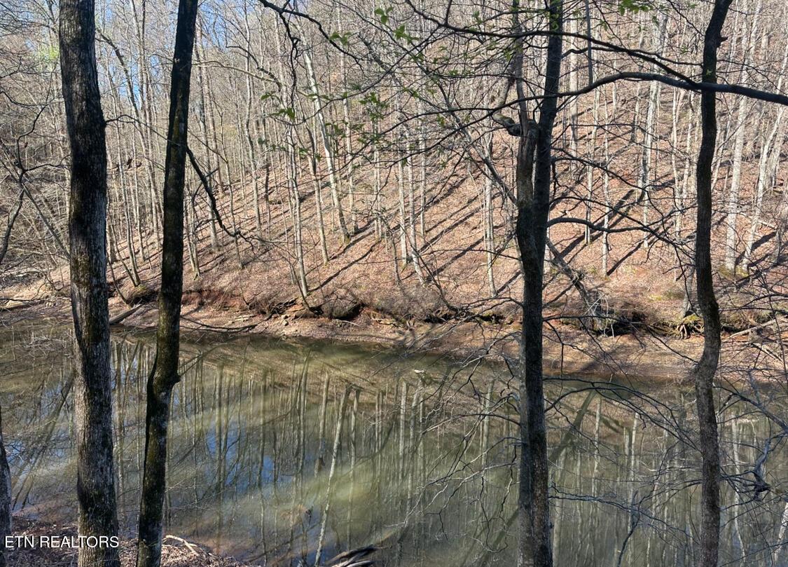 Fort Loudoun and Tellico Lake Real Estate - Image# 16
