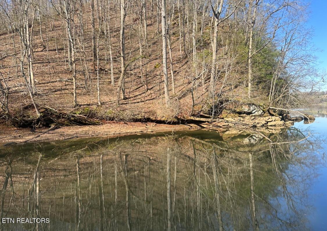 Fort Loudoun and Tellico Lake Real Estate - Image# 12