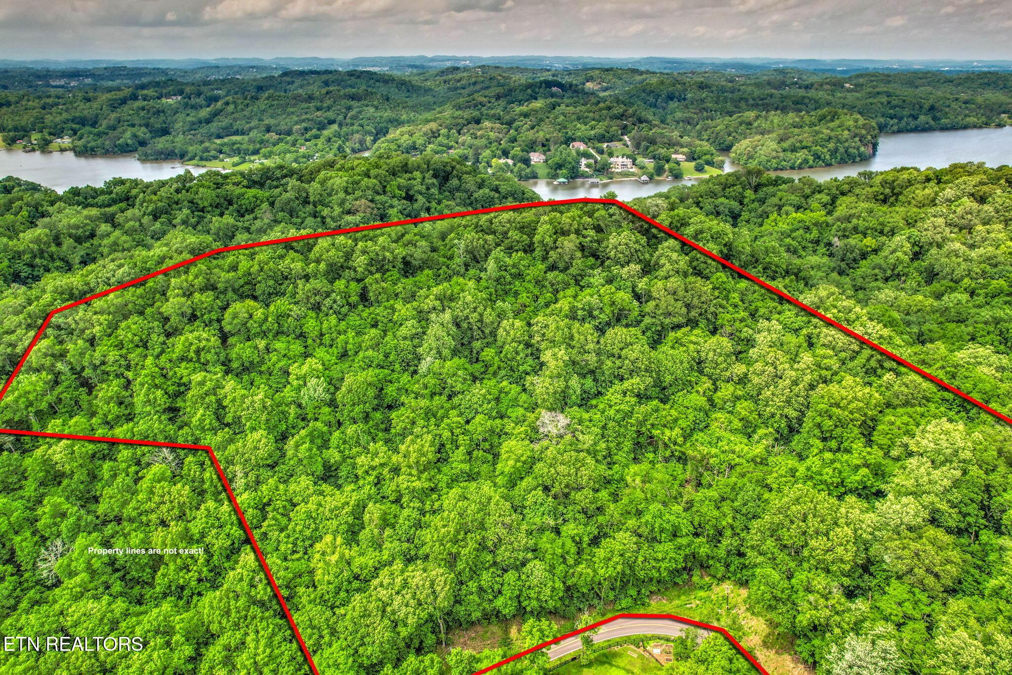 Fort Loudoun and Tellico Lake Real Estate - Image# 9