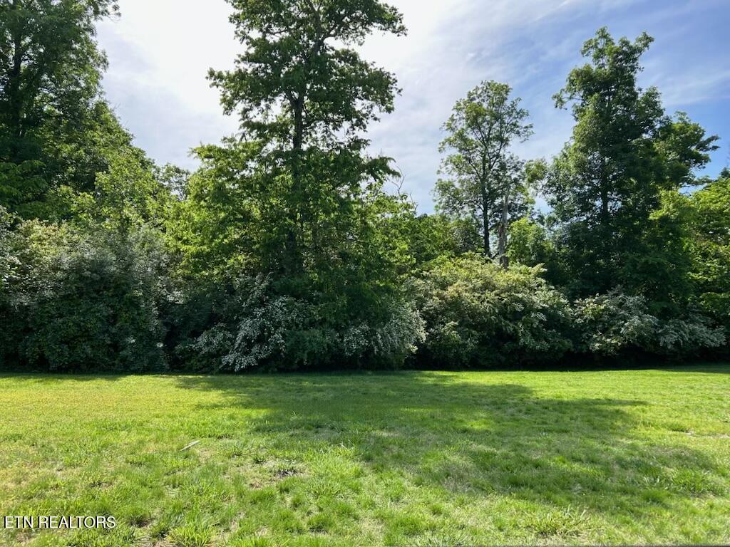Fort Loudoun and Tellico Lake Real Estate - Image# 6