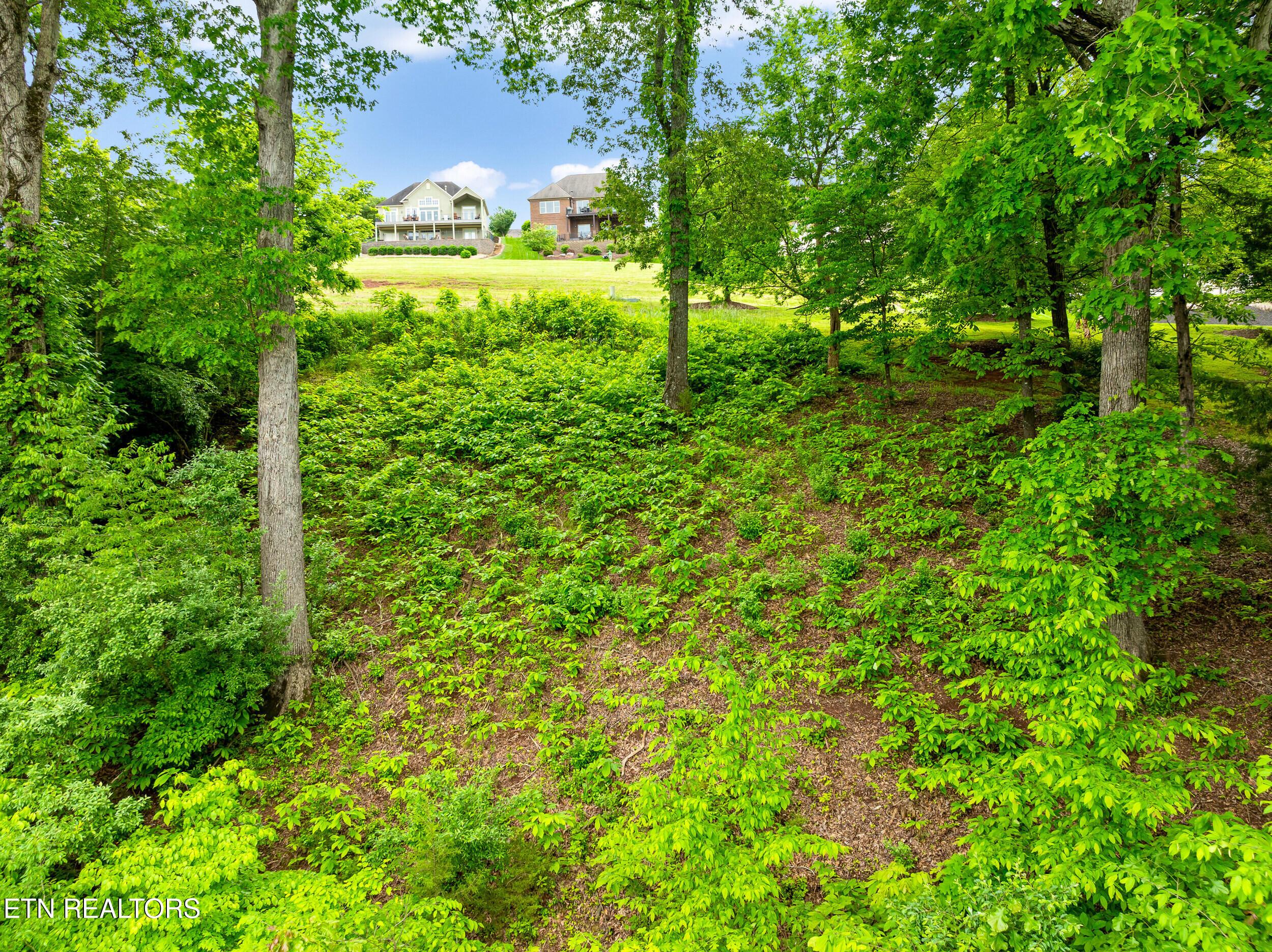 Fort Loudoun and Tellico Lake Real Estate - Image# 9
