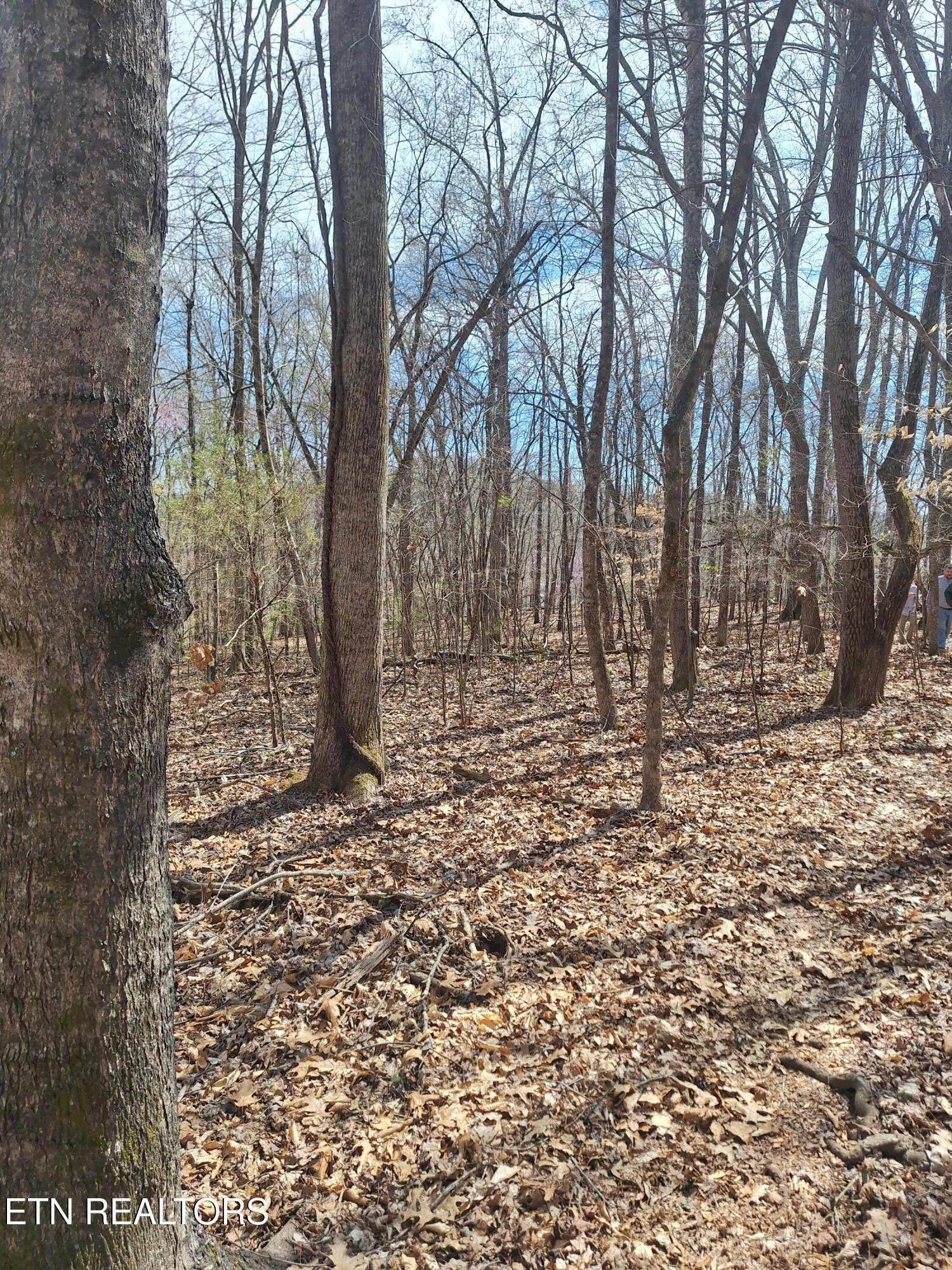 Fort Loudoun and Tellico Lake Real Estate - Image# 3