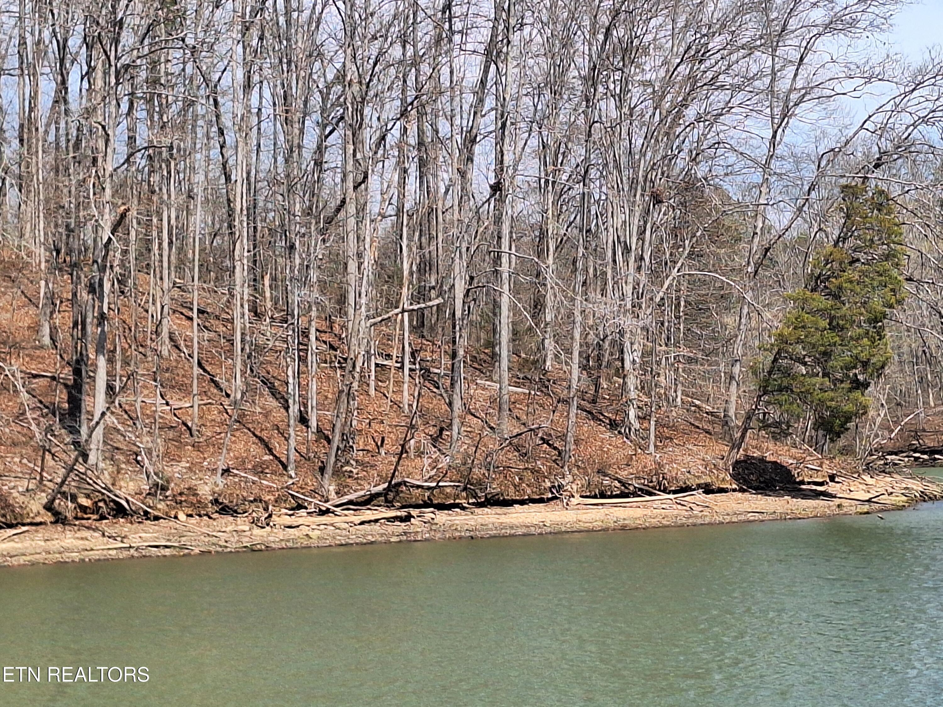 Fort Loudoun and Tellico Lake Real Estate - Image# 7
